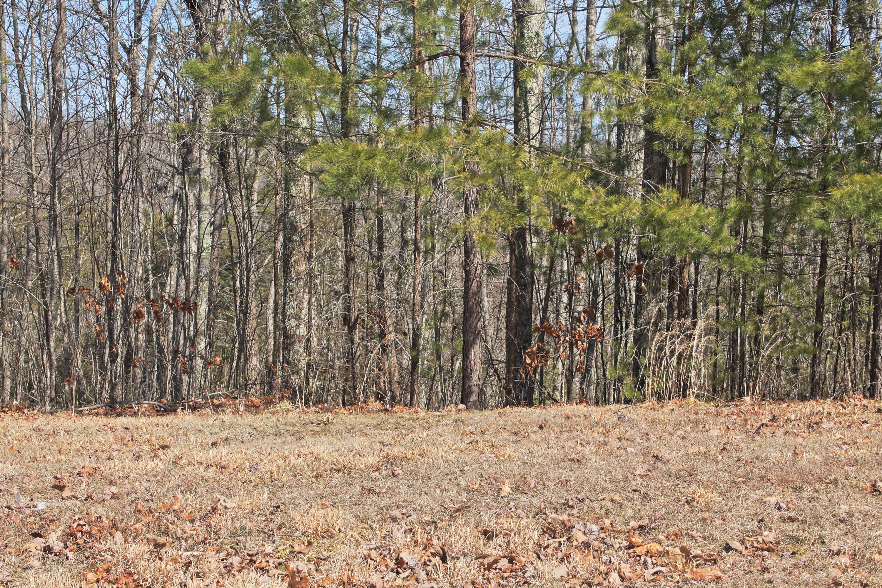 Jamestown, TN 38556,Lot 55 Grandview WAY