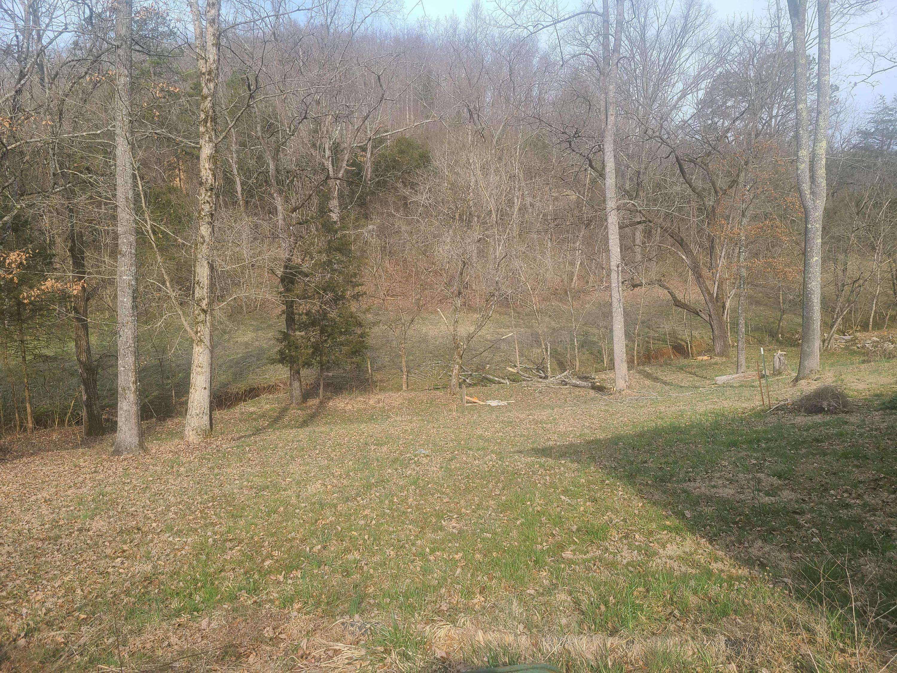 Speedwell, TN 37870,424 Blue Springs Rd