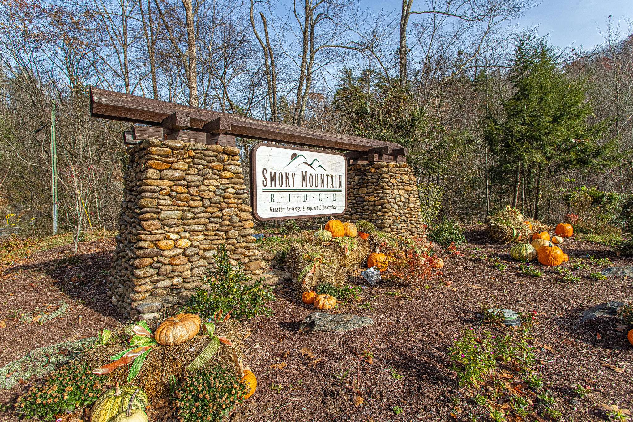 Sevierville, TN 37862,Lot #65 Smoky Ridge Way