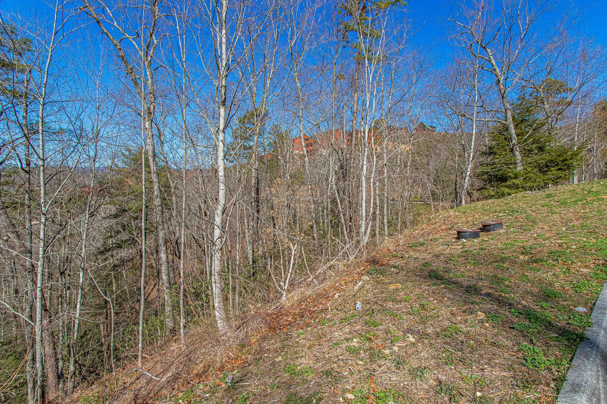 Sevierville, TN 37862,Lot #65 Smoky Ridge Way