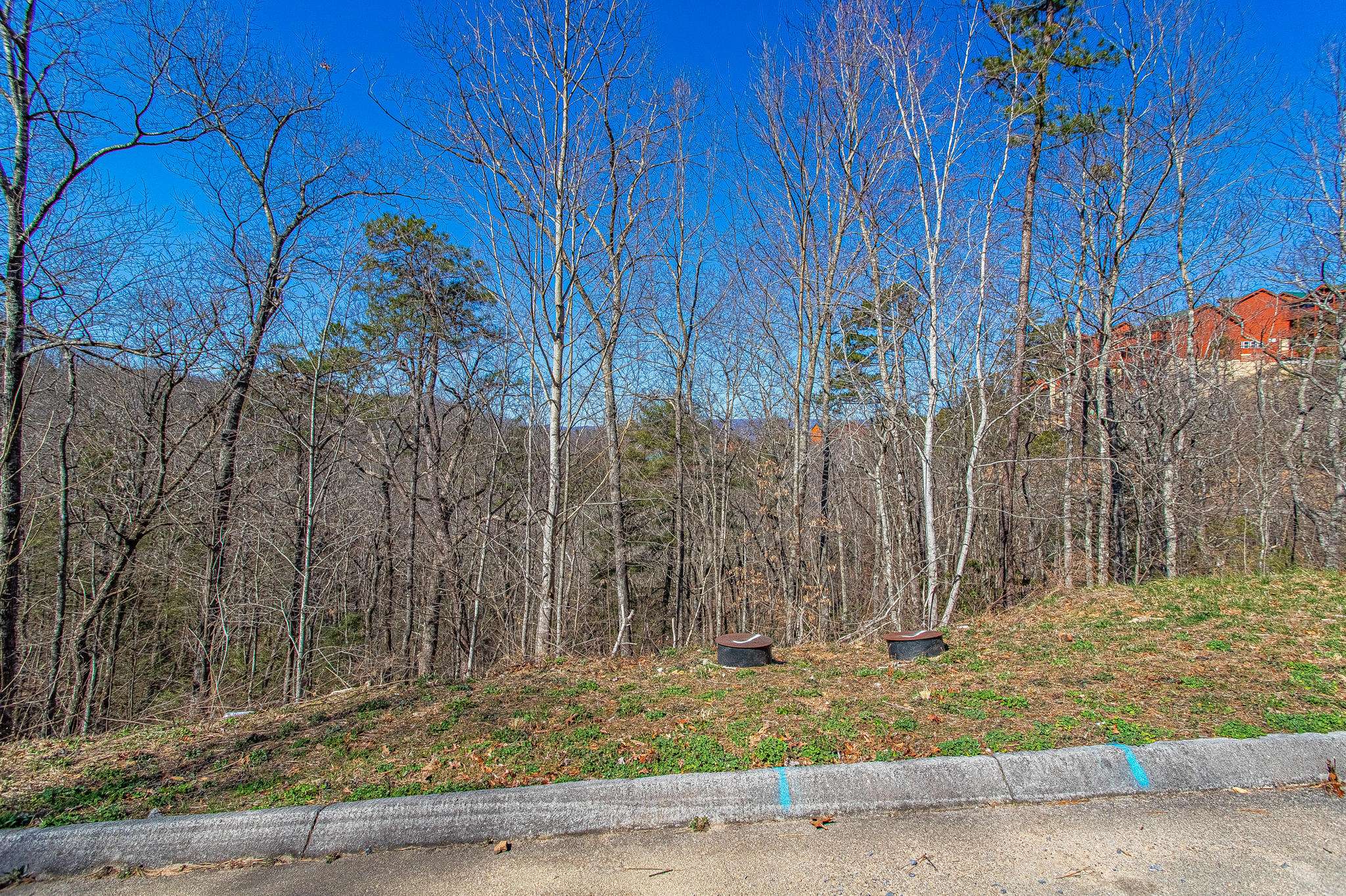 Sevierville, TN 37862,Lot #65 Smoky Ridge Way