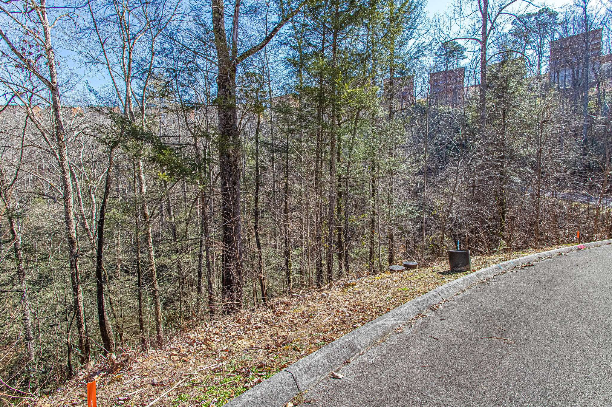 Sevierville, TN 37862,Lot #72 Smoky Ridge Way