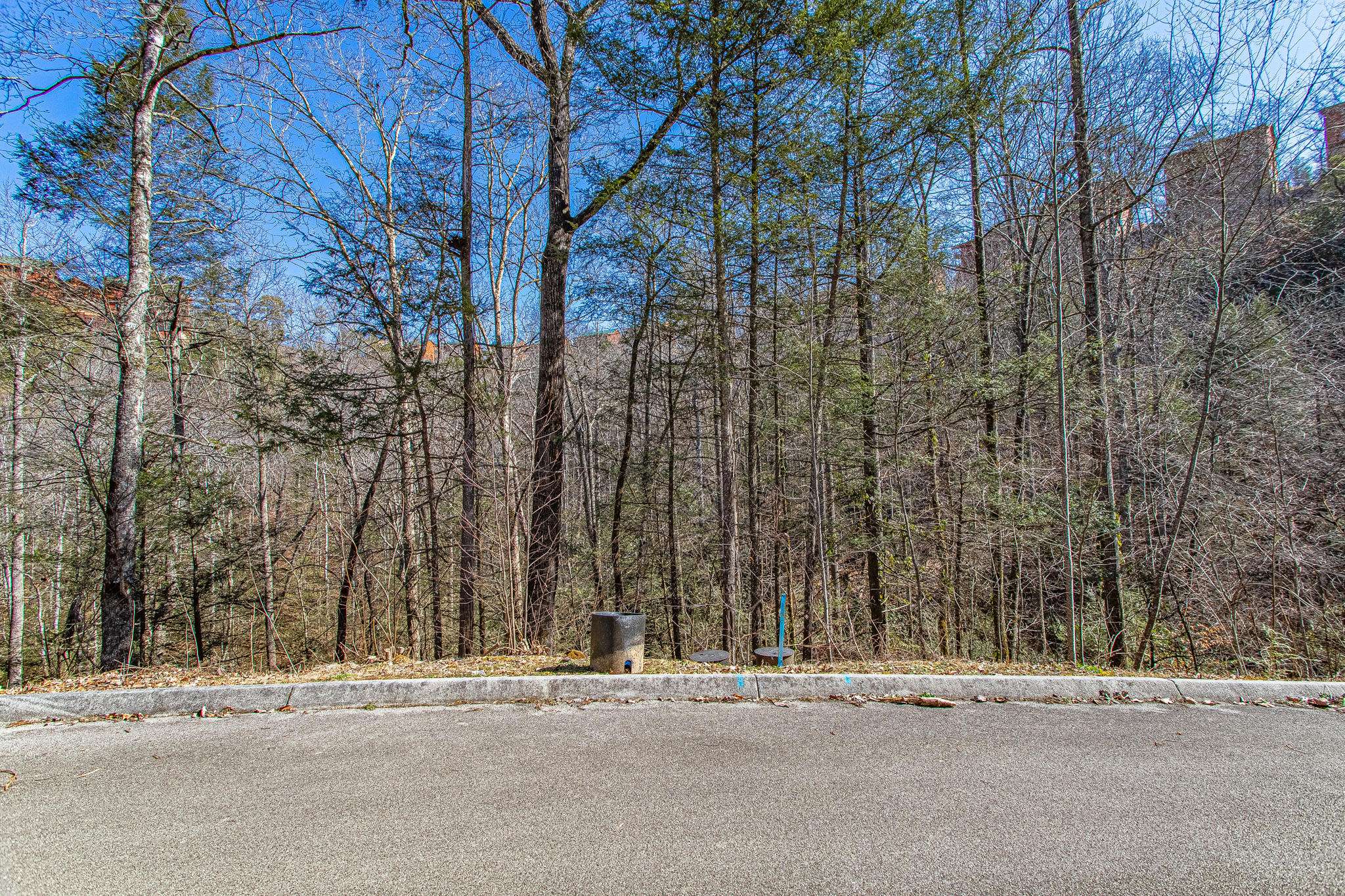 Sevierville, TN 37862,Lot #72 Smoky Ridge Way