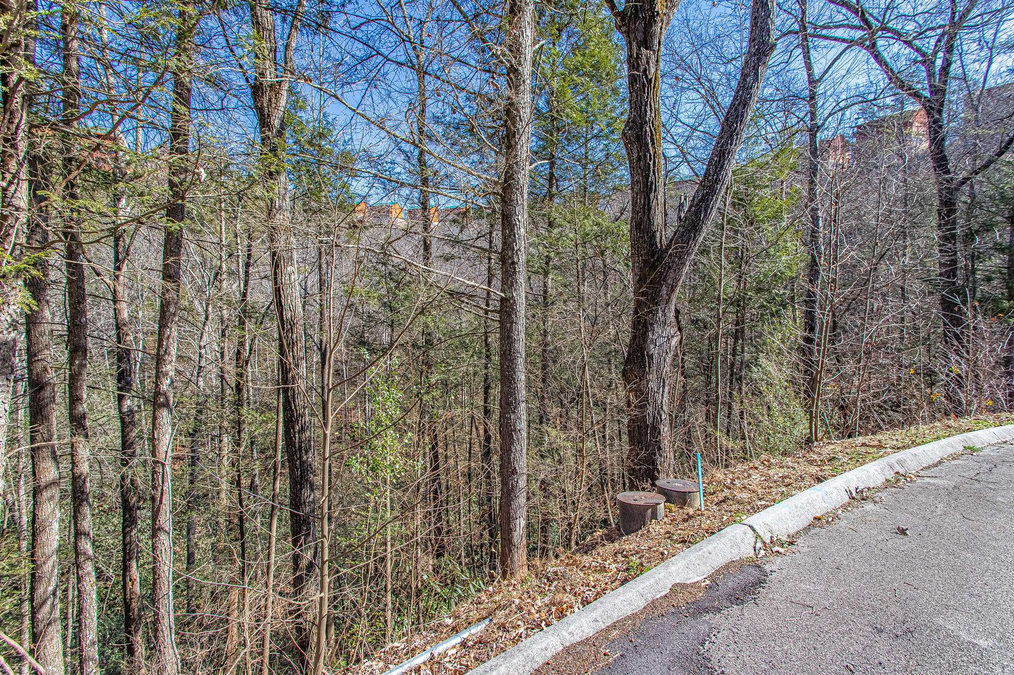 Sevierville, TN 37862,Lot #73 Smoky Ridge Way