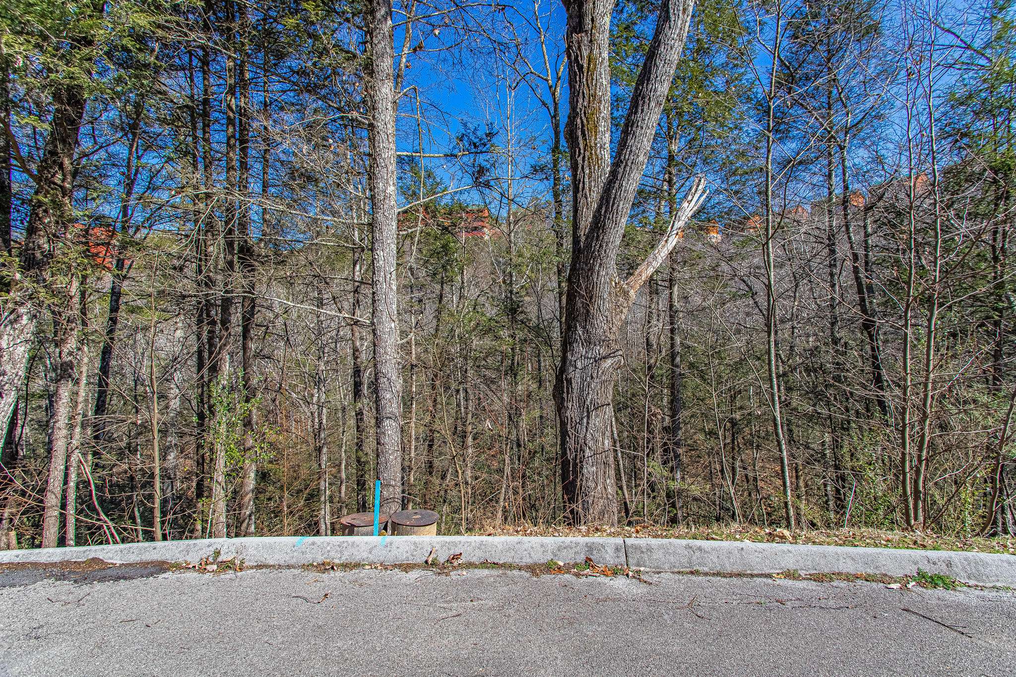 Sevierville, TN 37862,Lot #73 Smoky Ridge Way