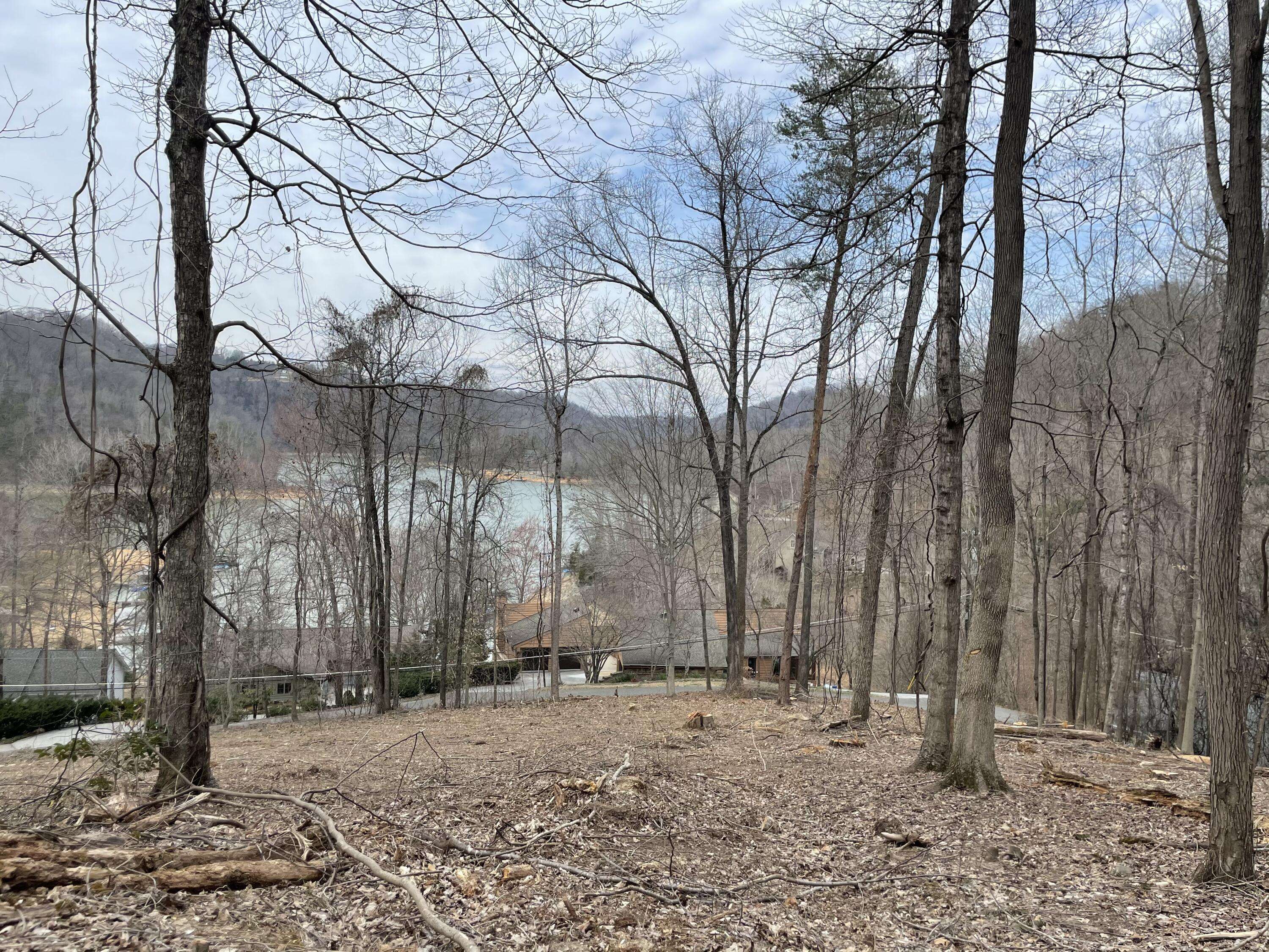 Caryville, TN 37714,Lot 56 Shorewood DR