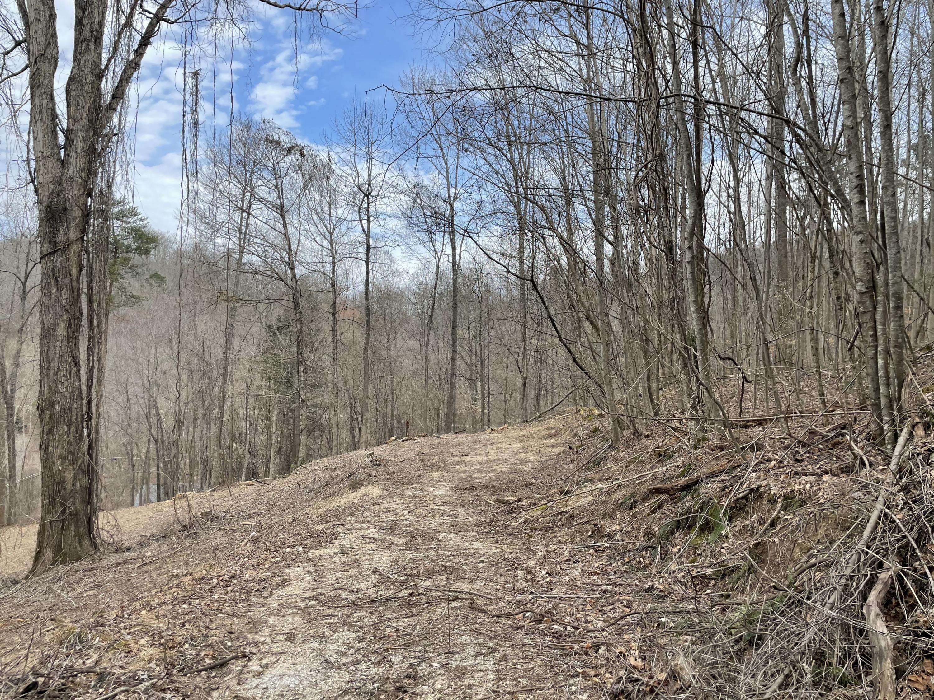 Caryville, TN 37714,Lot 56 Shorewood DR