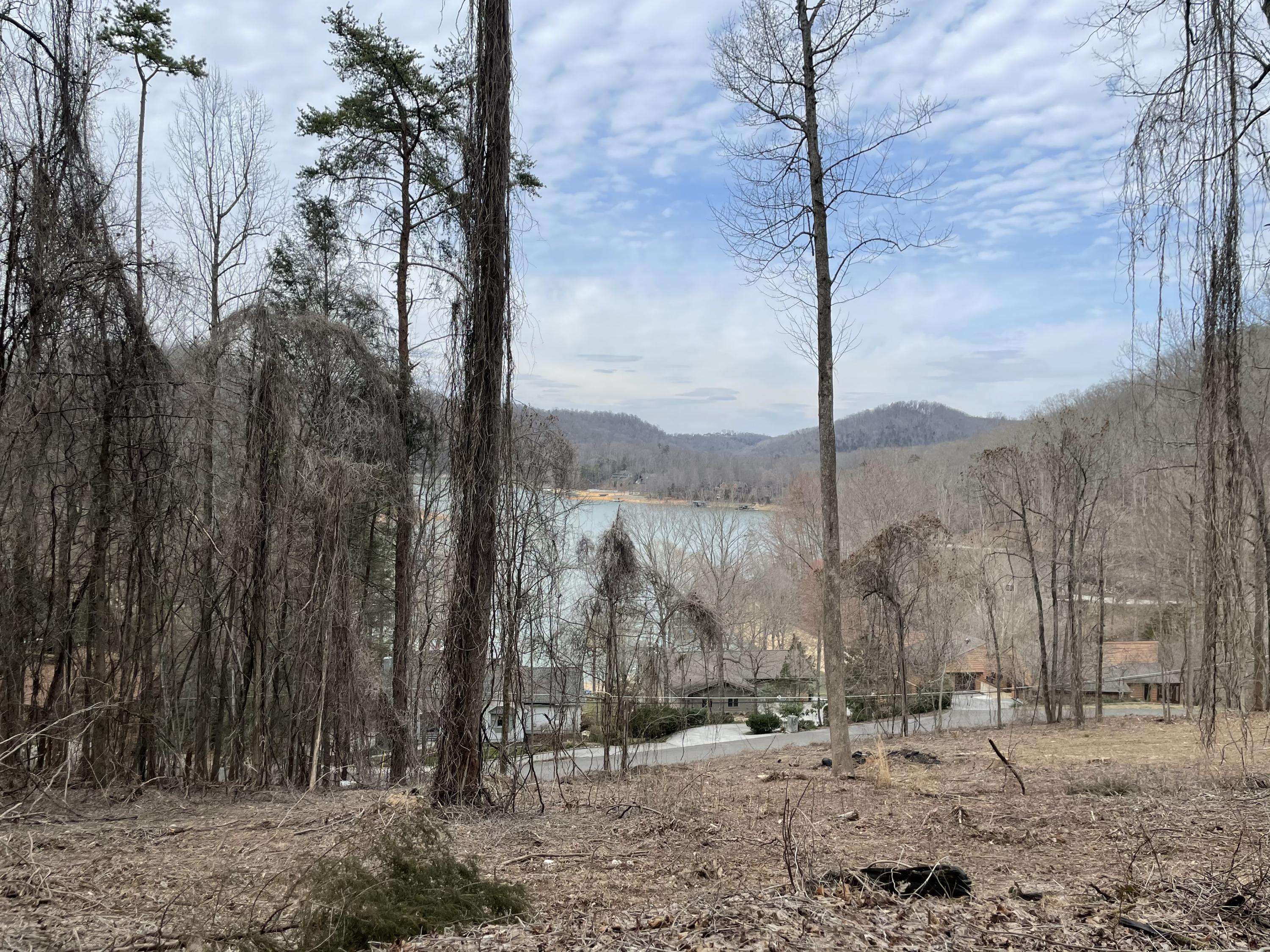 Caryville, TN 37714,Lot 56 Shorewood DR