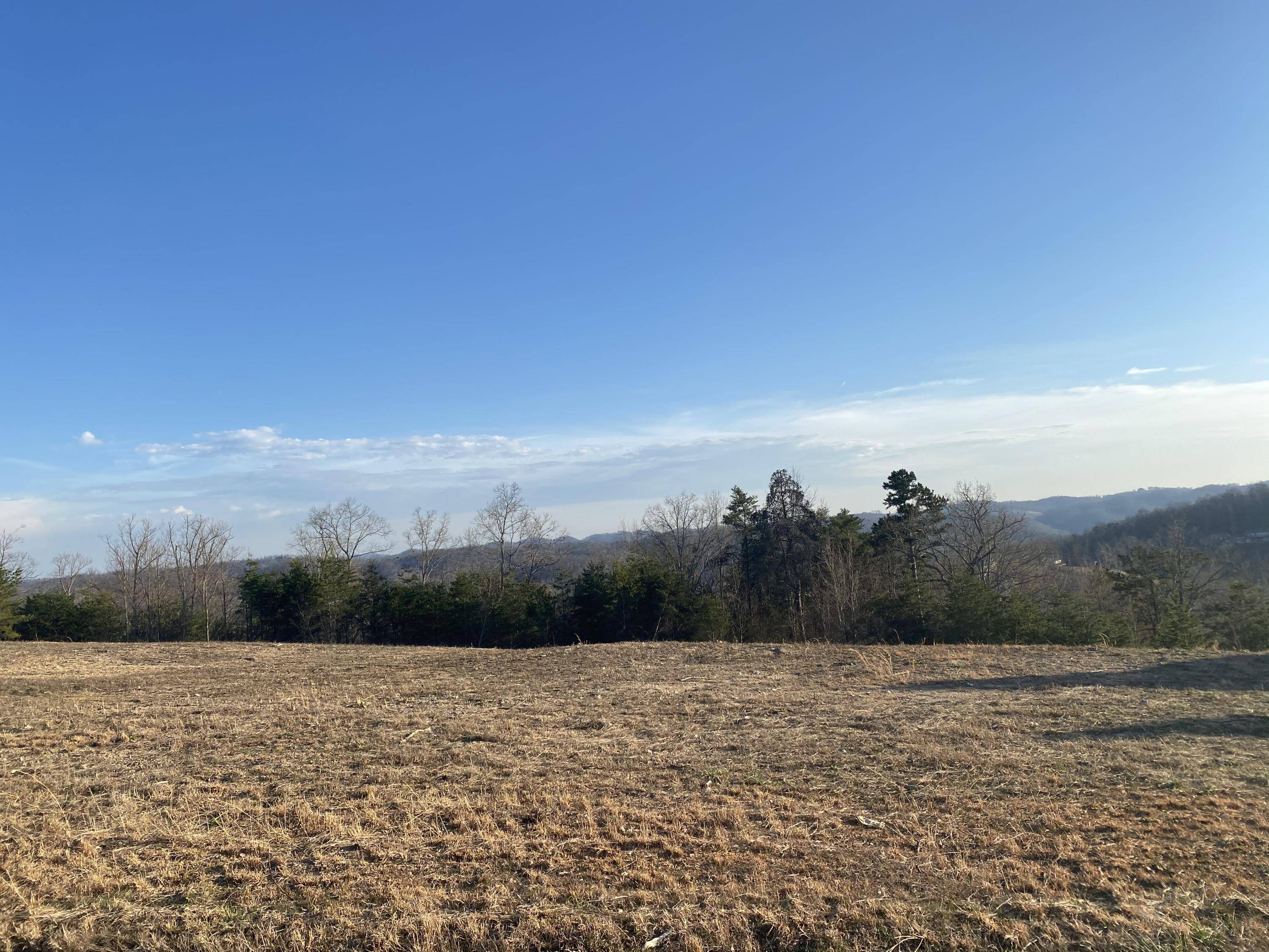 Maynardville, TN 37807,Panoramic DR