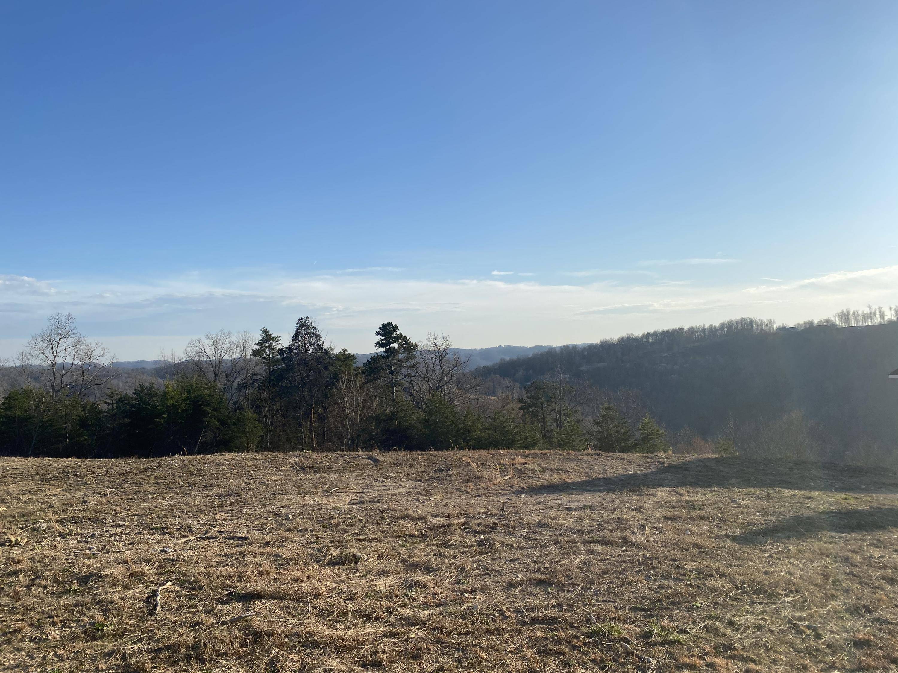 Maynardville, TN 37807,Panoramic DR