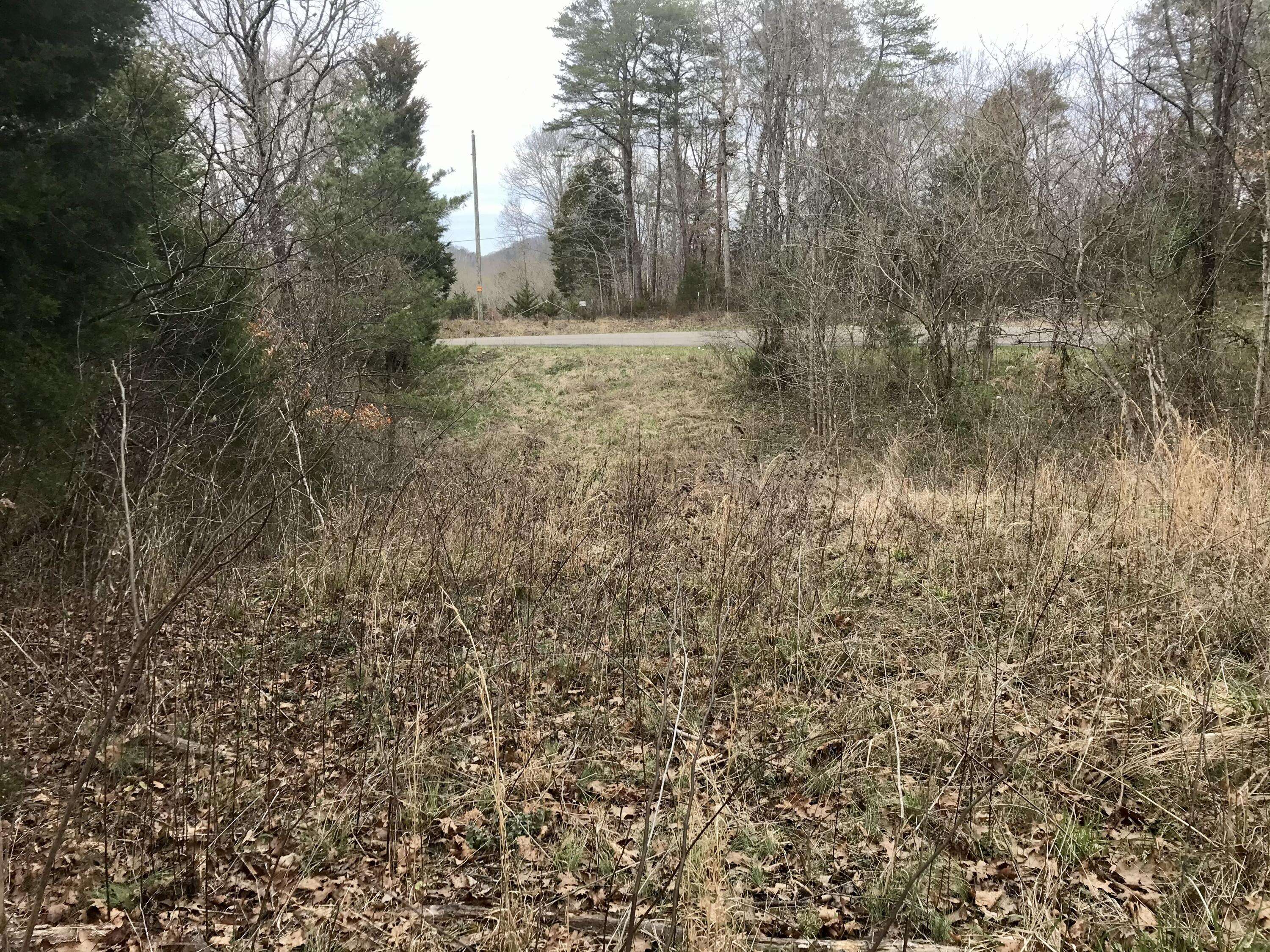 Tellico Plains, TN 37385,4.3 Shadden Rd