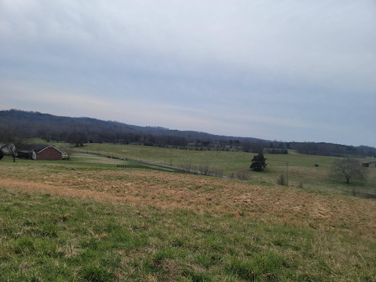 Athens, TN 37303,5 Acres Sweetfield Valley Rd