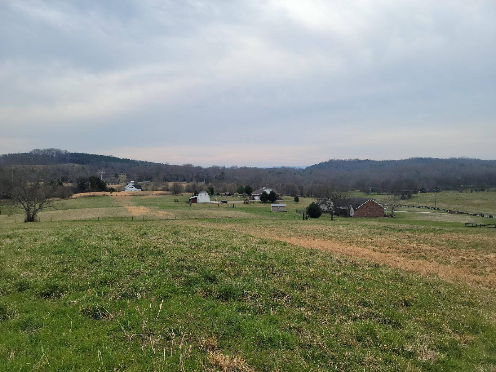 Athens, TN 37303,5 Acres Sweetfield Valley Rd