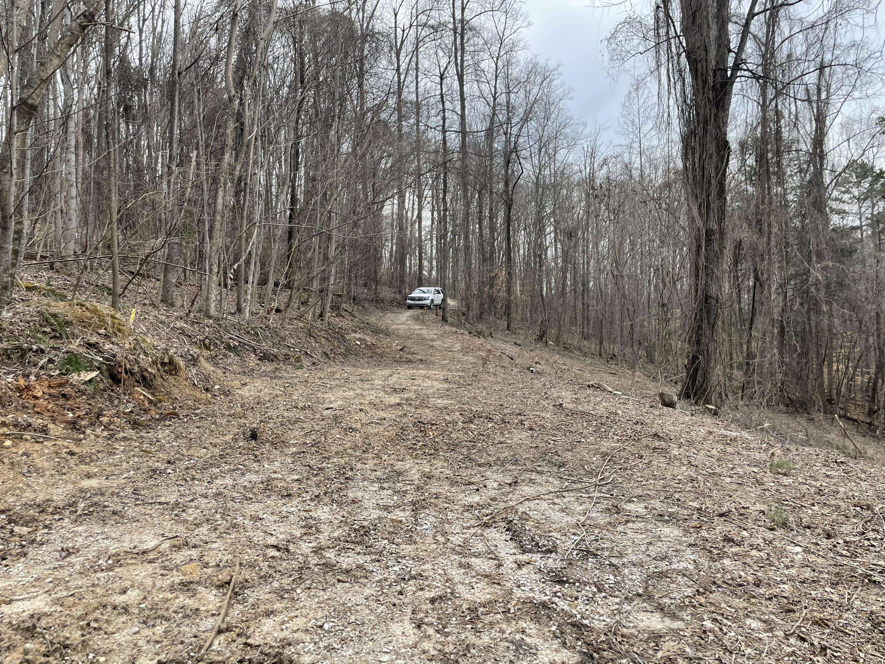 Caryville, TN 37714,lot #55 Shorewood LN