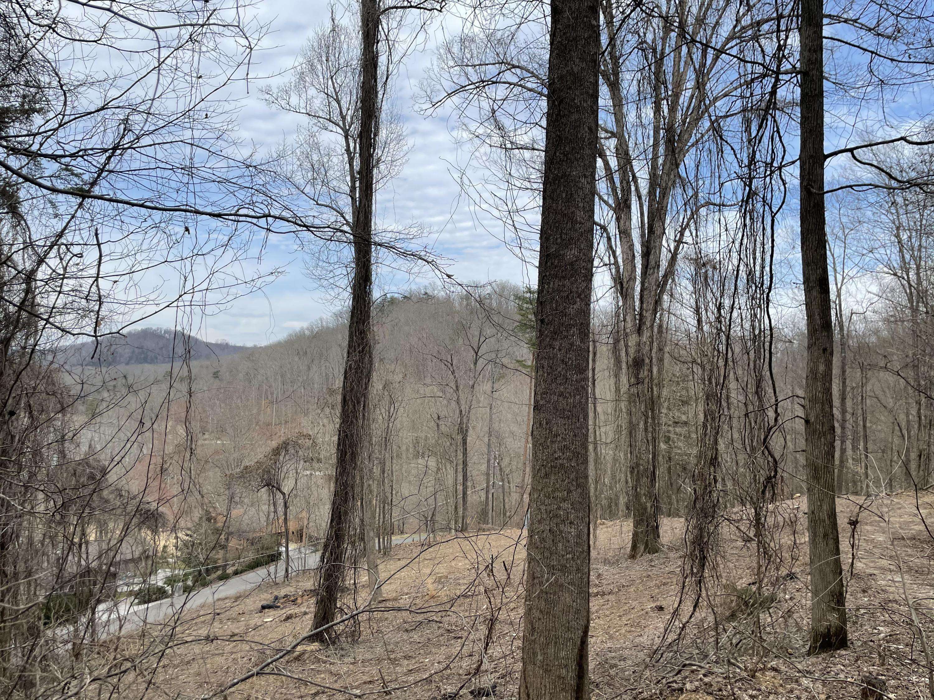 Caryville, TN 37714,lot #55 Shorewood LN