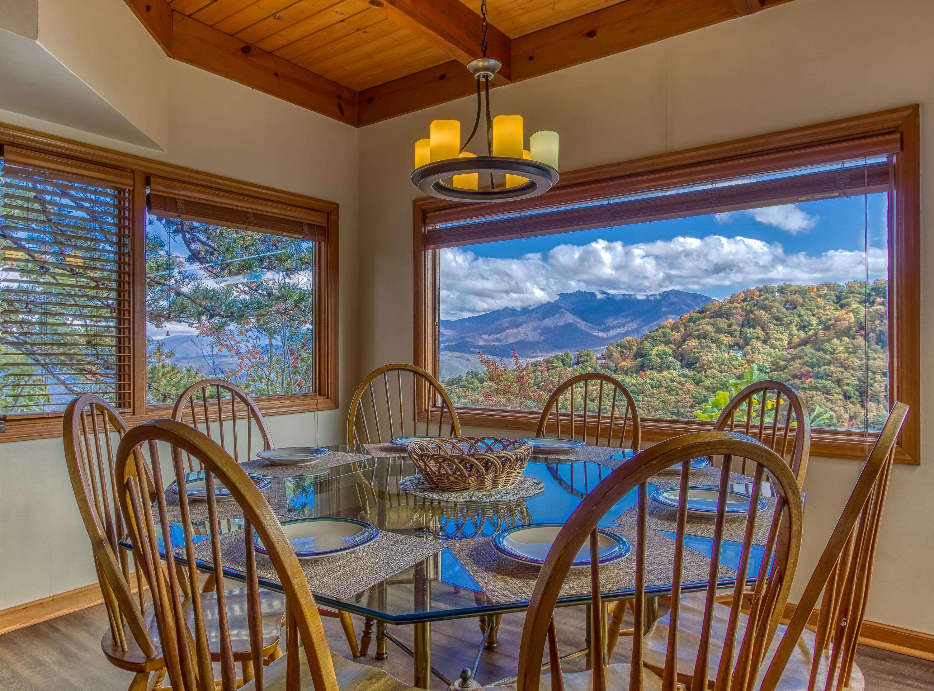 Gatlinburg, TN 37738,1307 Ski View DR