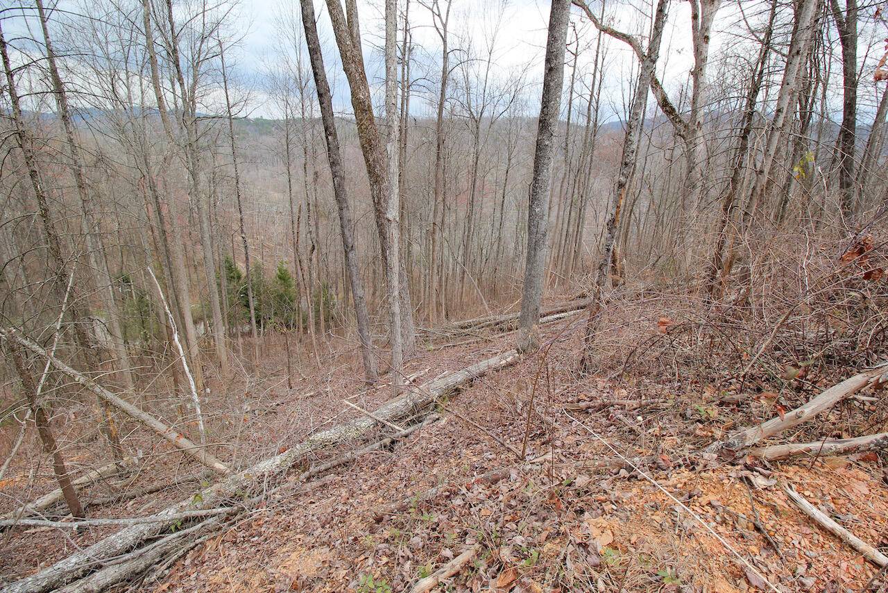 Gatlinburg, TN 37738,Lot 16-C Laurel Way