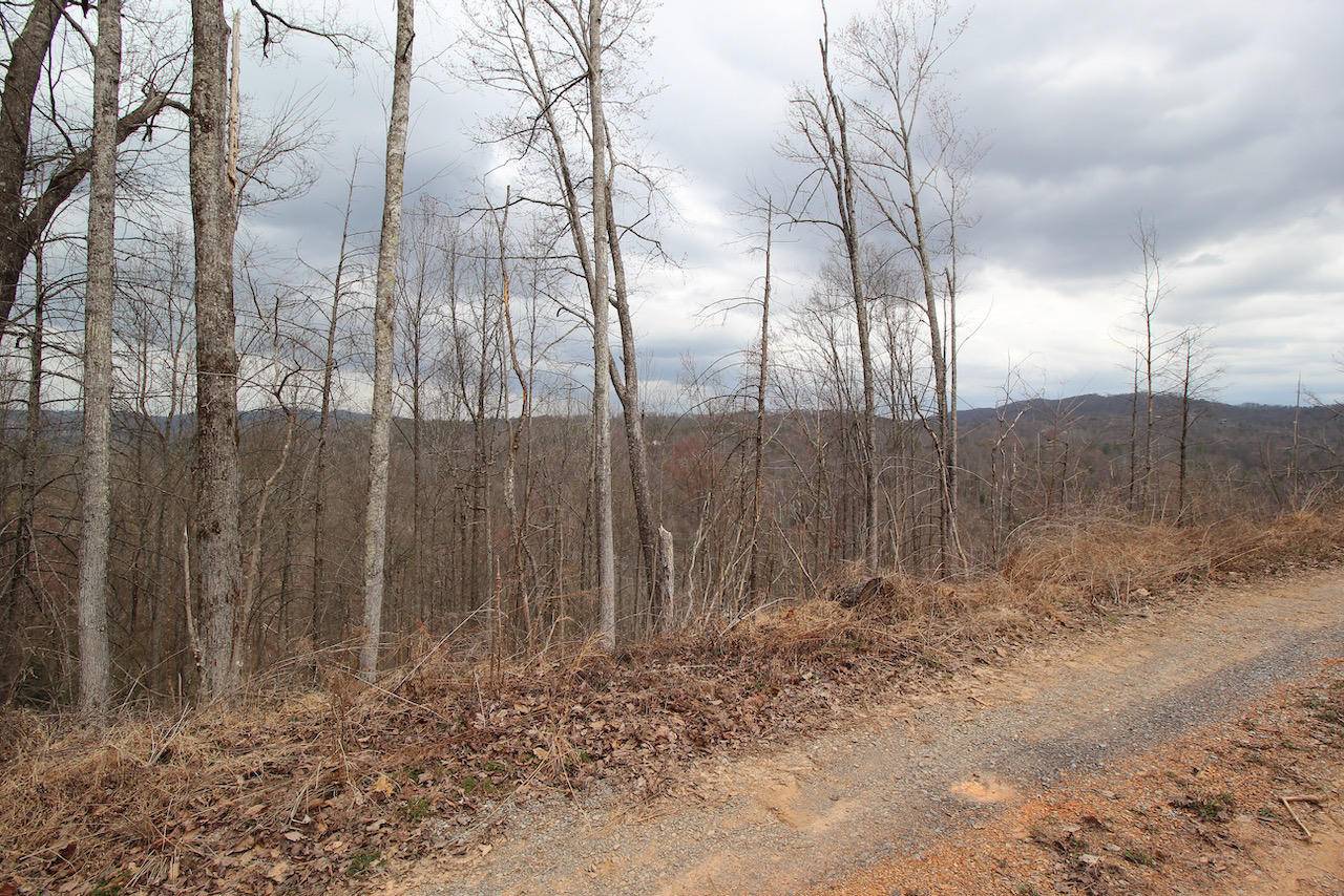 Gatlinburg, TN 37738,Lot 16-C Laurel Way