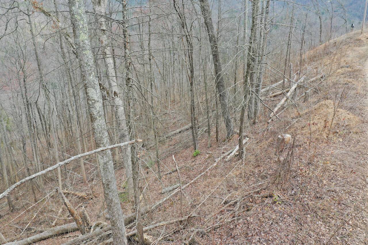 Gatlinburg, TN 37738,Lot 16-C Laurel Way