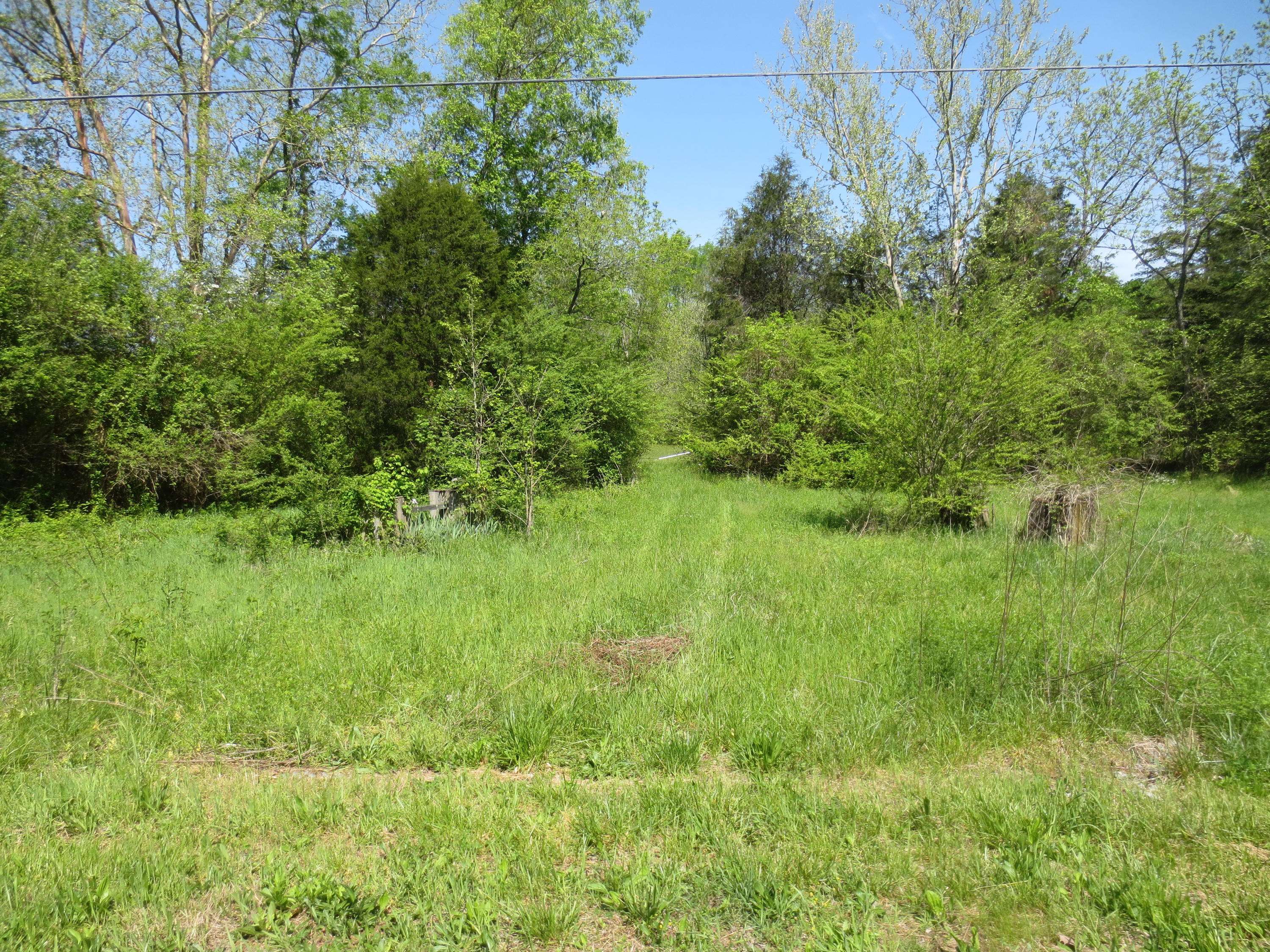 Decatur, TN 37322,Lot 7 No Pone Valley Road