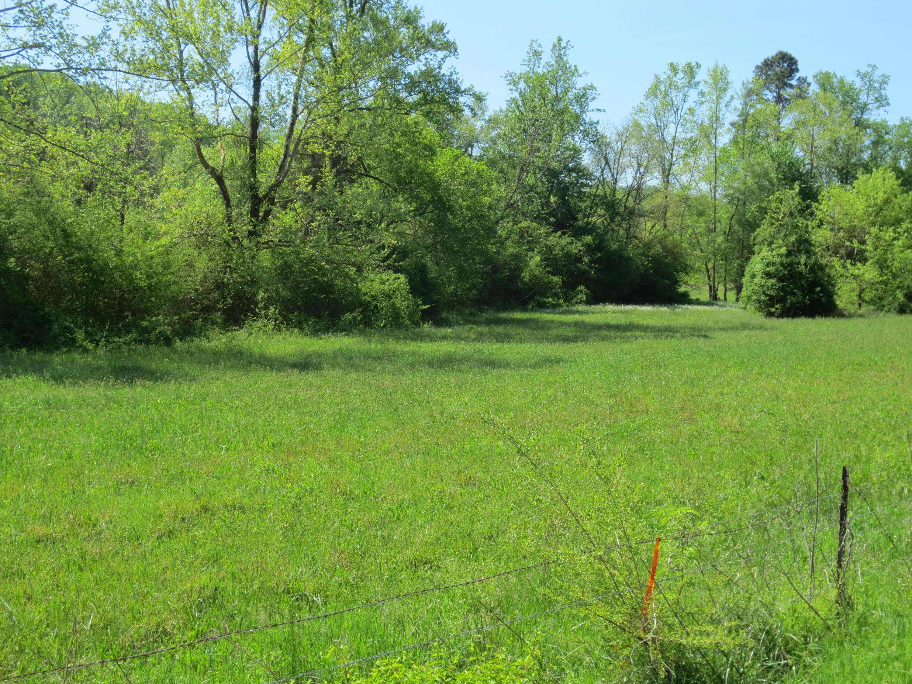 Decatur, TN 37322,Lot 14 No Pone Valley Road