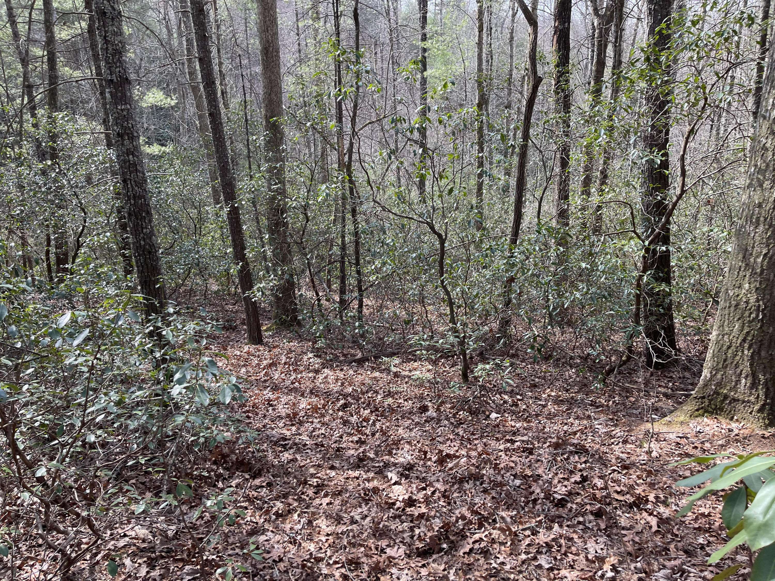 Tellico Plains, TN 37385,Pond Ridge Rd