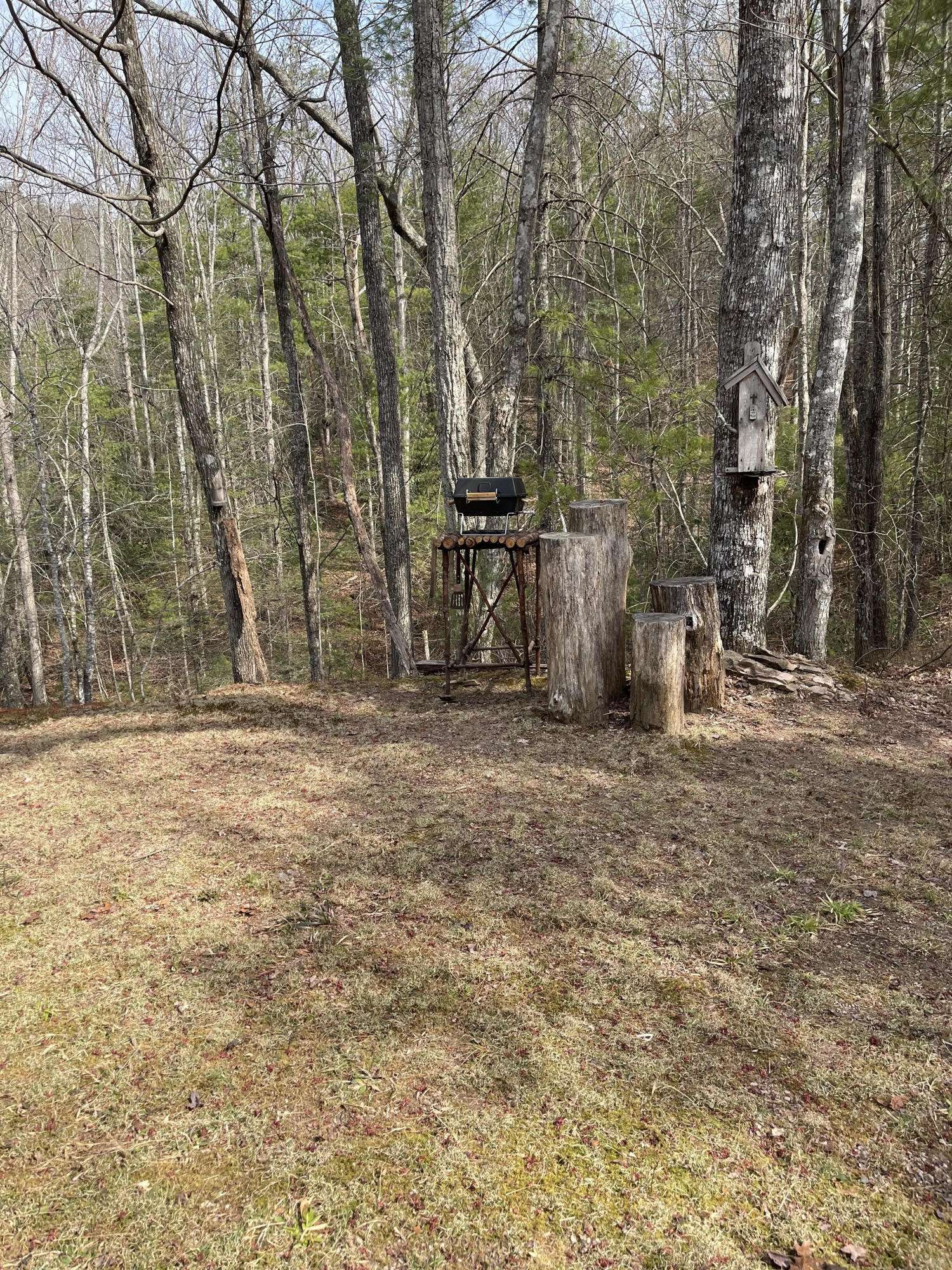 Tellico Plains, TN 37385,Pond Ridge Rd