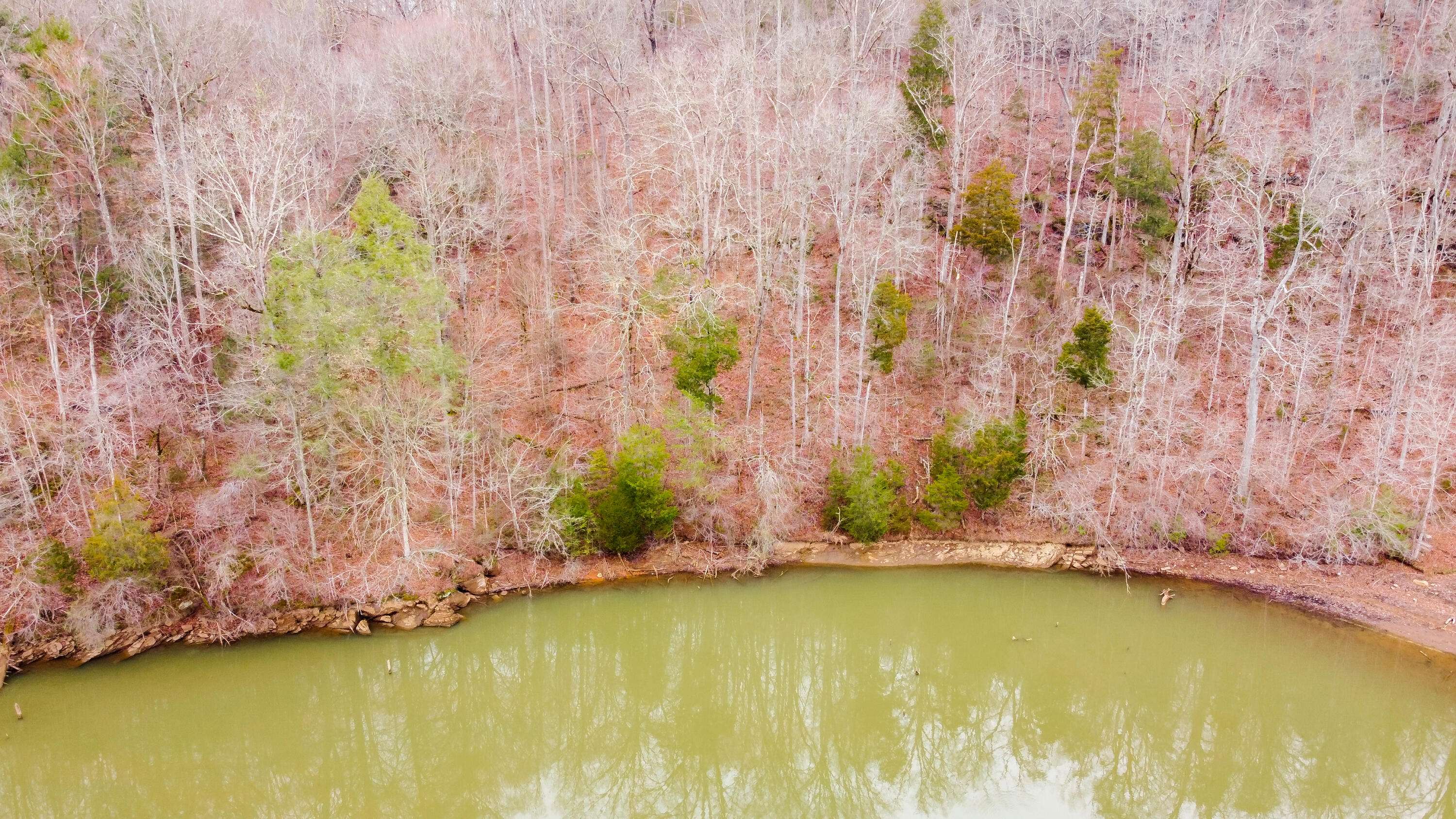 Madisonville, TN 37354,Tract/Lot 1 - Scenic River Rd