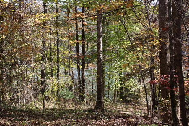 Madisonville, TN 37354,Tract/Lot 1 - Scenic River Rd