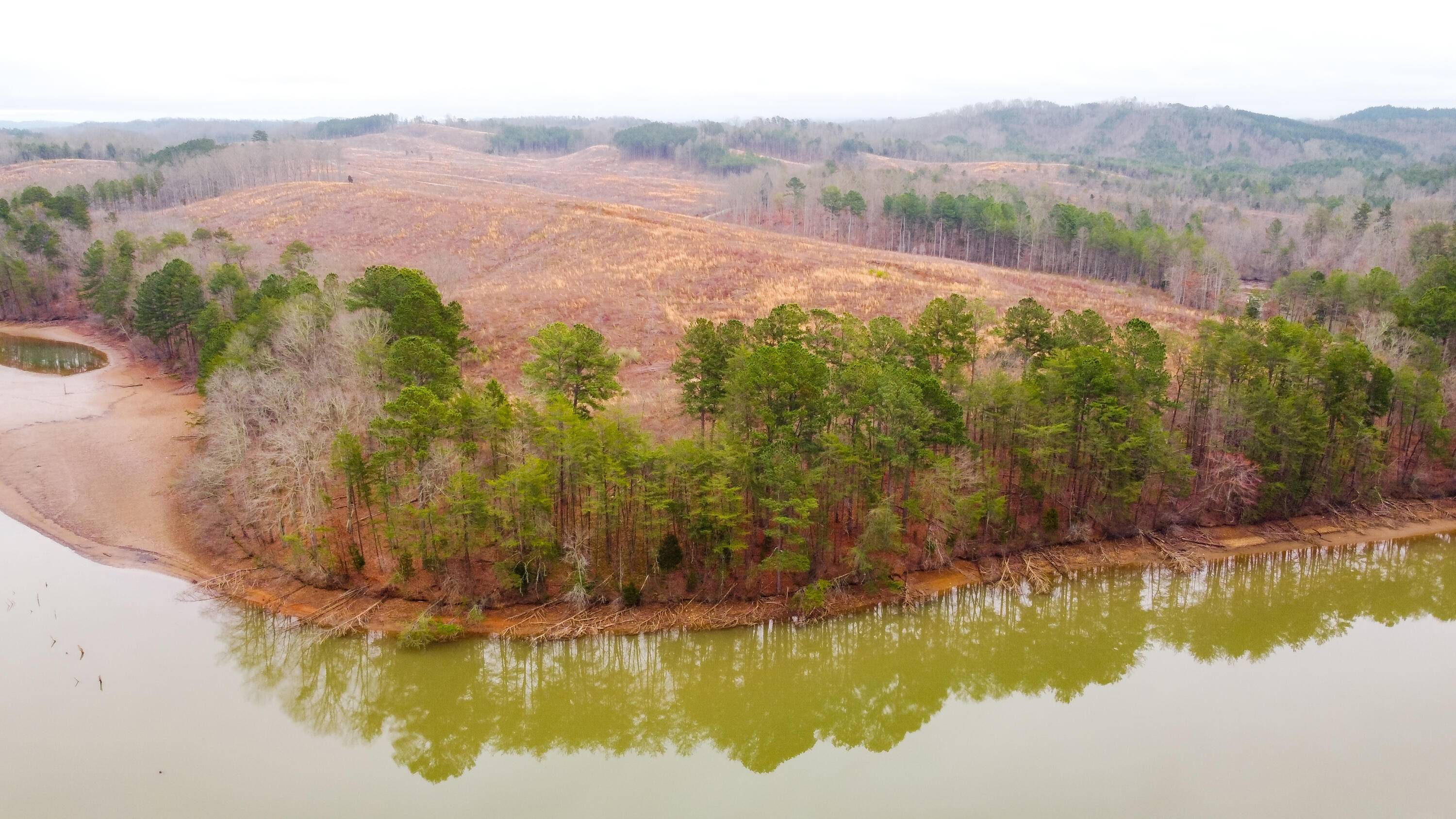 Madisonville, TN 37354,Tract/Lot 1 - Scenic River Rd