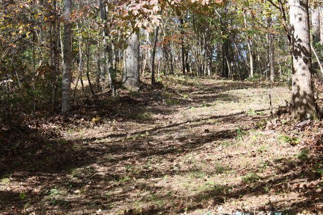 Madisonville, TN 37354,Tract/Lot 2 - Scenic River Rd