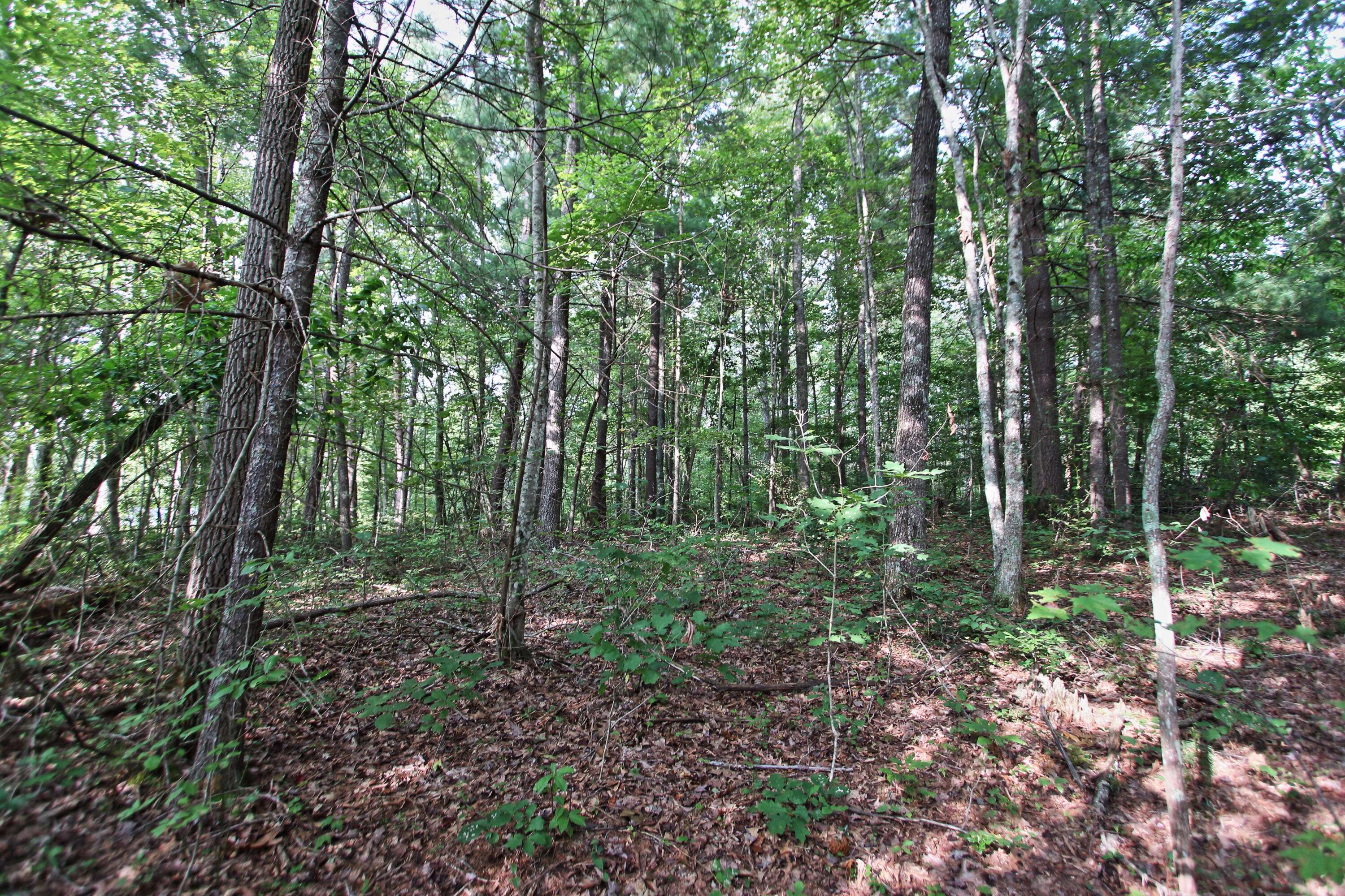 Jamestown, TN 38556,Lot 8 Hill DR