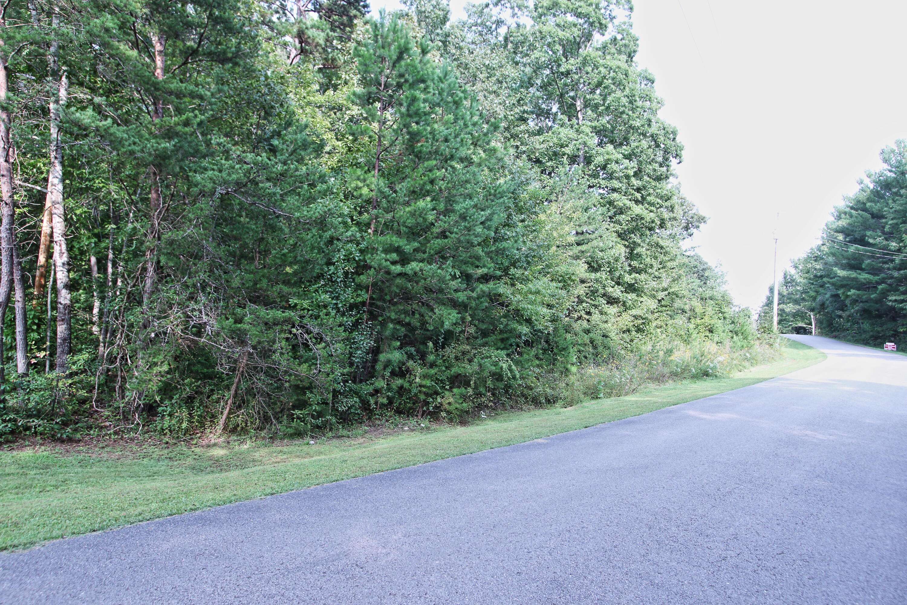 Jamestown, TN 38556,Lot 8 Hill DR