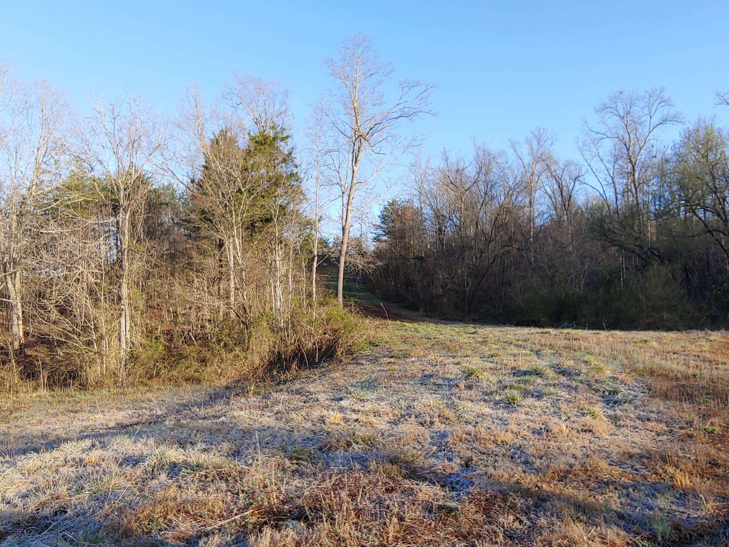 Strawberry Plains, TN 37871,Thorn Grove PIKE