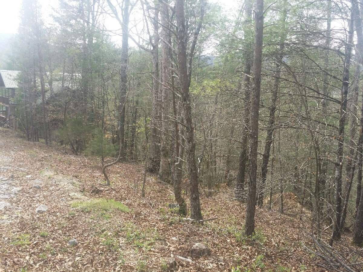 Townsend, TN 37882,Tolliver Trail