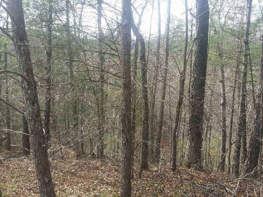 Townsend, TN 37882,Tolliver Trail