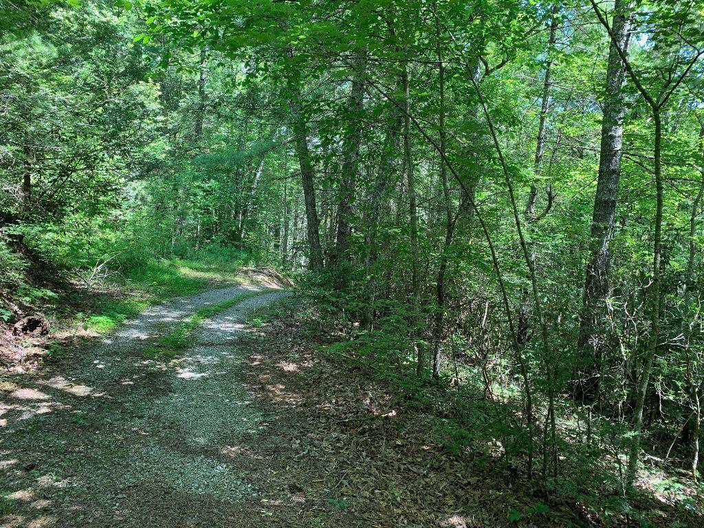 Tellico Plains, TN 37385,Holder Cemetery Rd