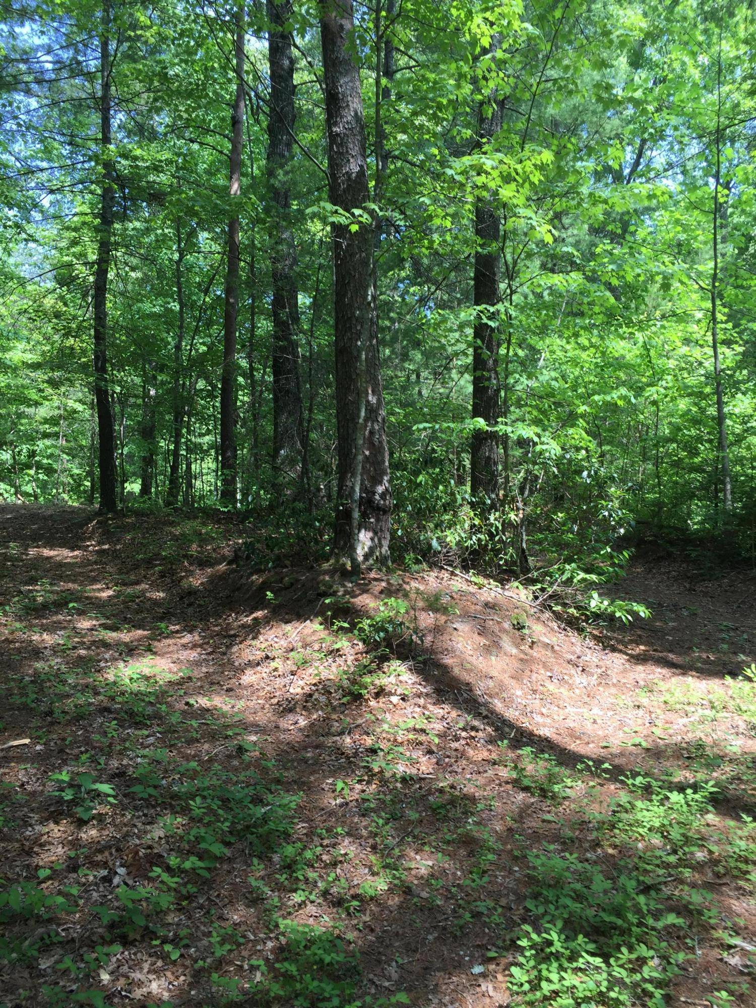 Tellico Plains, TN 37385,Holder Cemetery Rd