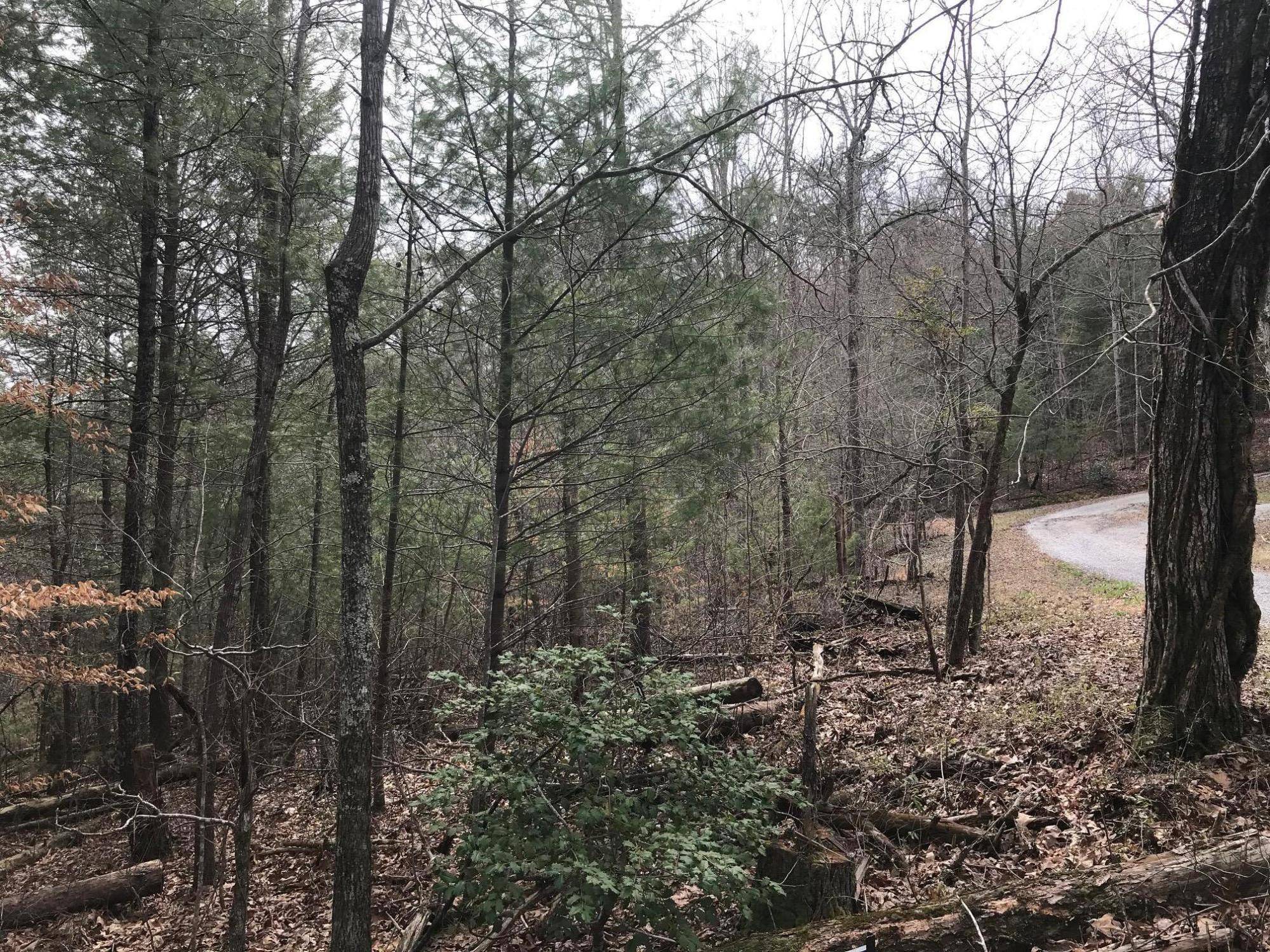 Tellico Plains, TN 37385,6.24 acres Towee Falls Road