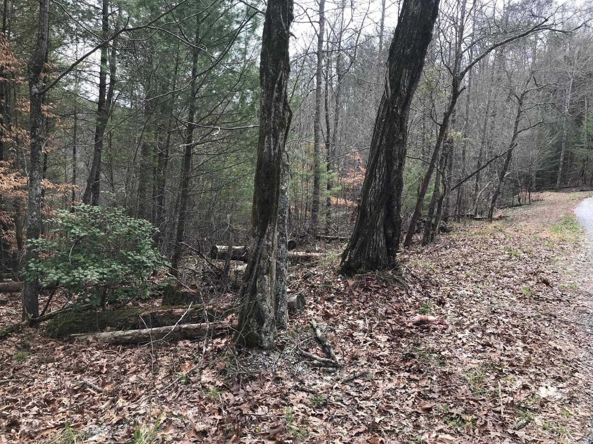 Tellico Plains, TN 37385,6.24 acres Towee Falls Road