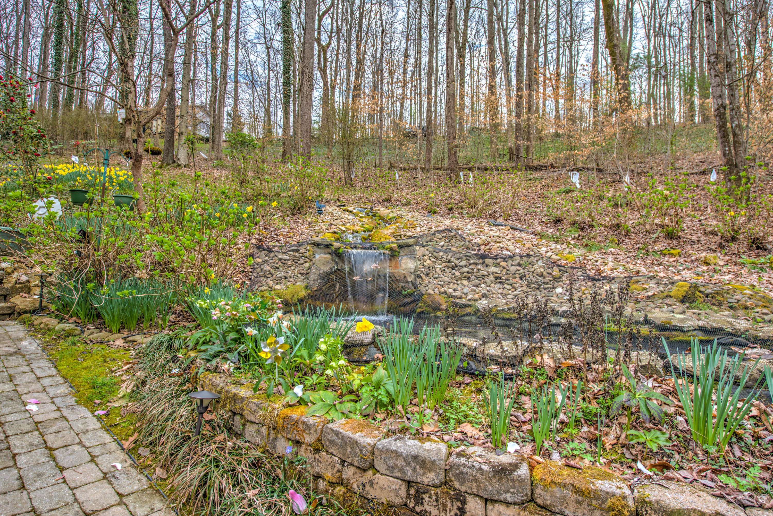 Oliver Springs, TN 37840,135 Whittier LN