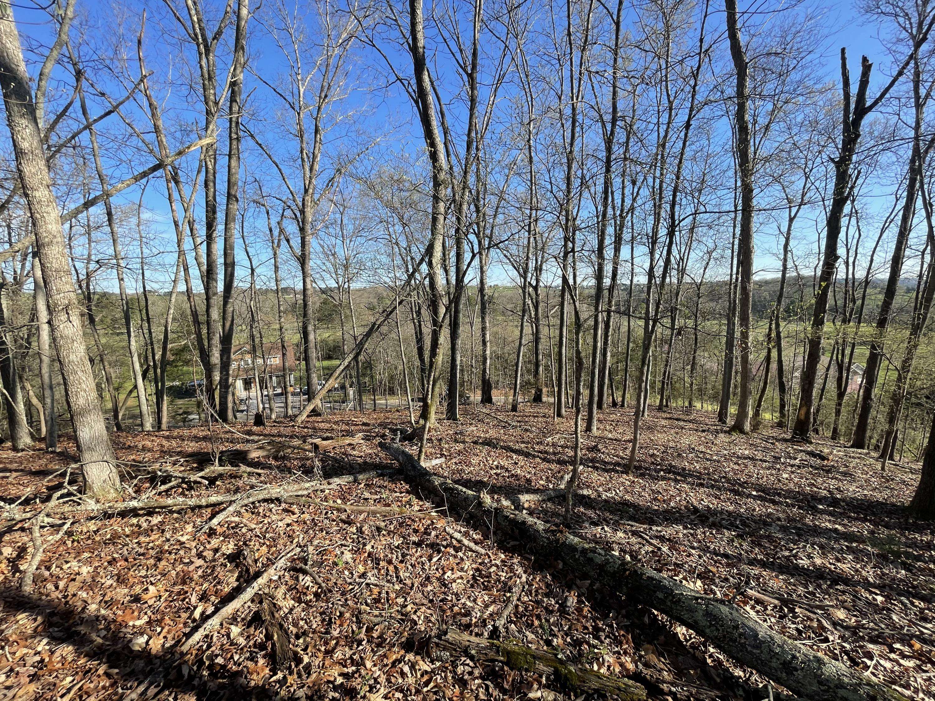 Sevierville, TN 37876,Lot 69 Lazy River LN