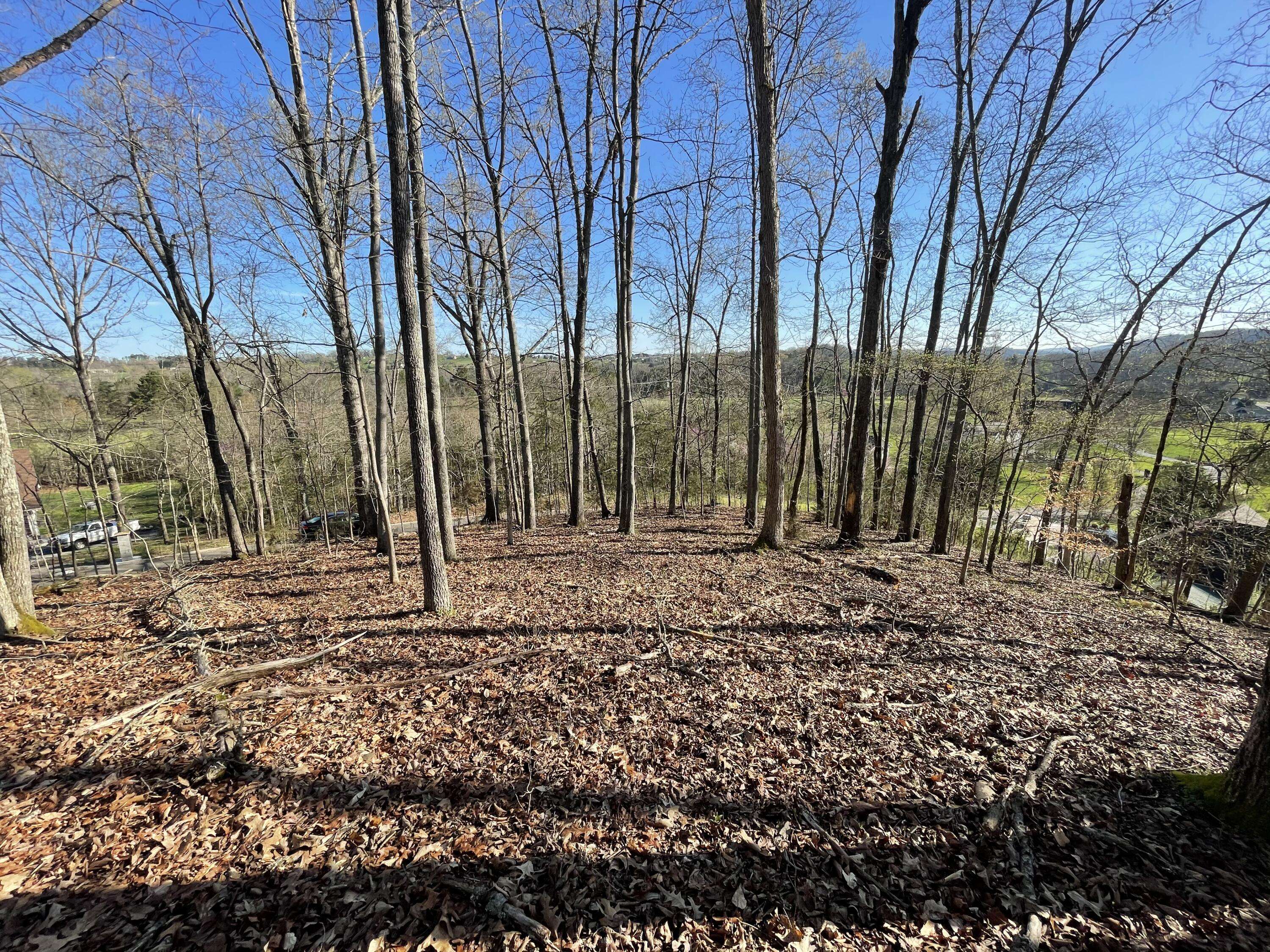 Sevierville, TN 37876,Lot 69 Lazy River LN