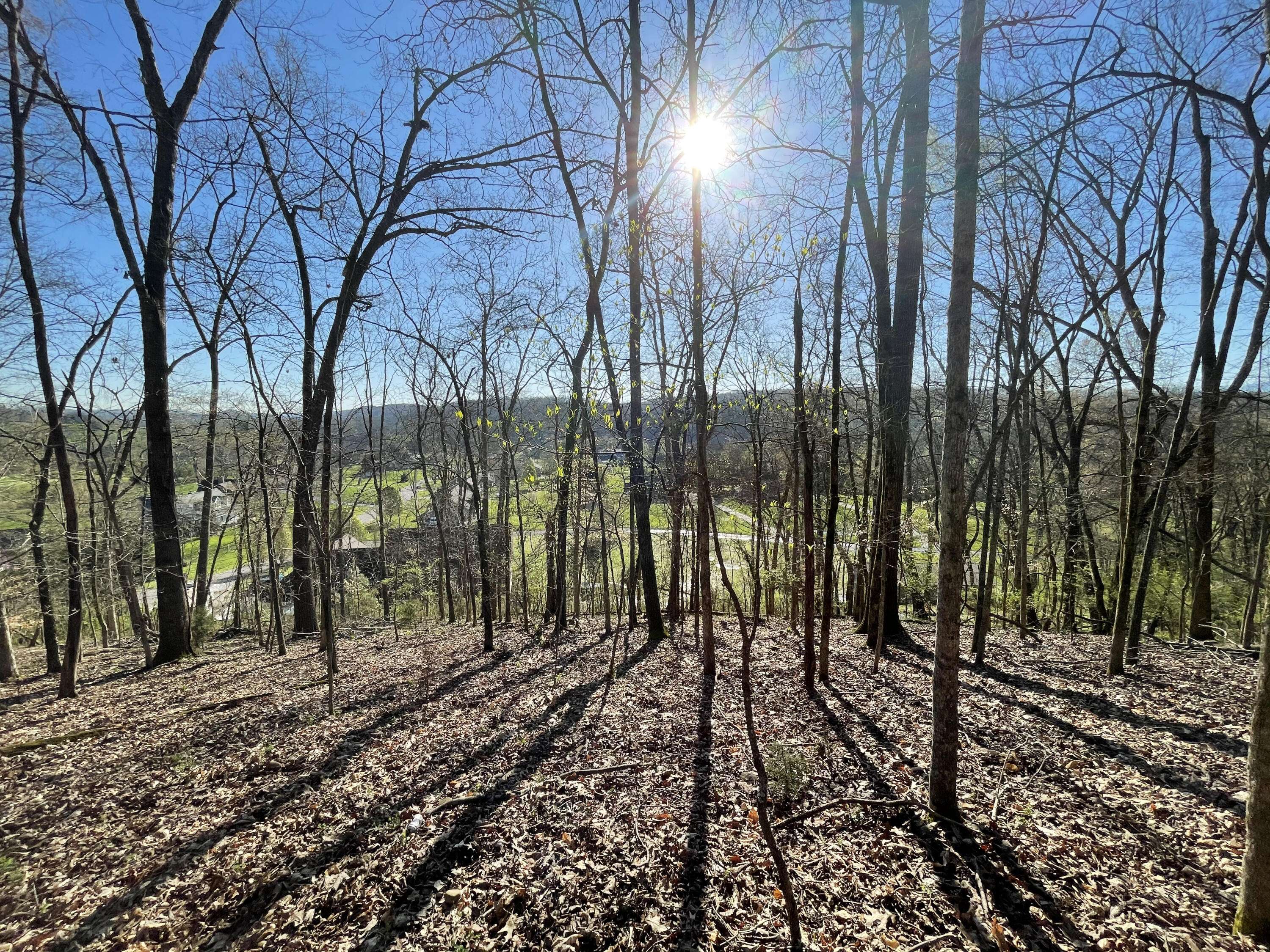 Sevierville, TN 37876,Lot 69 Lazy River LN