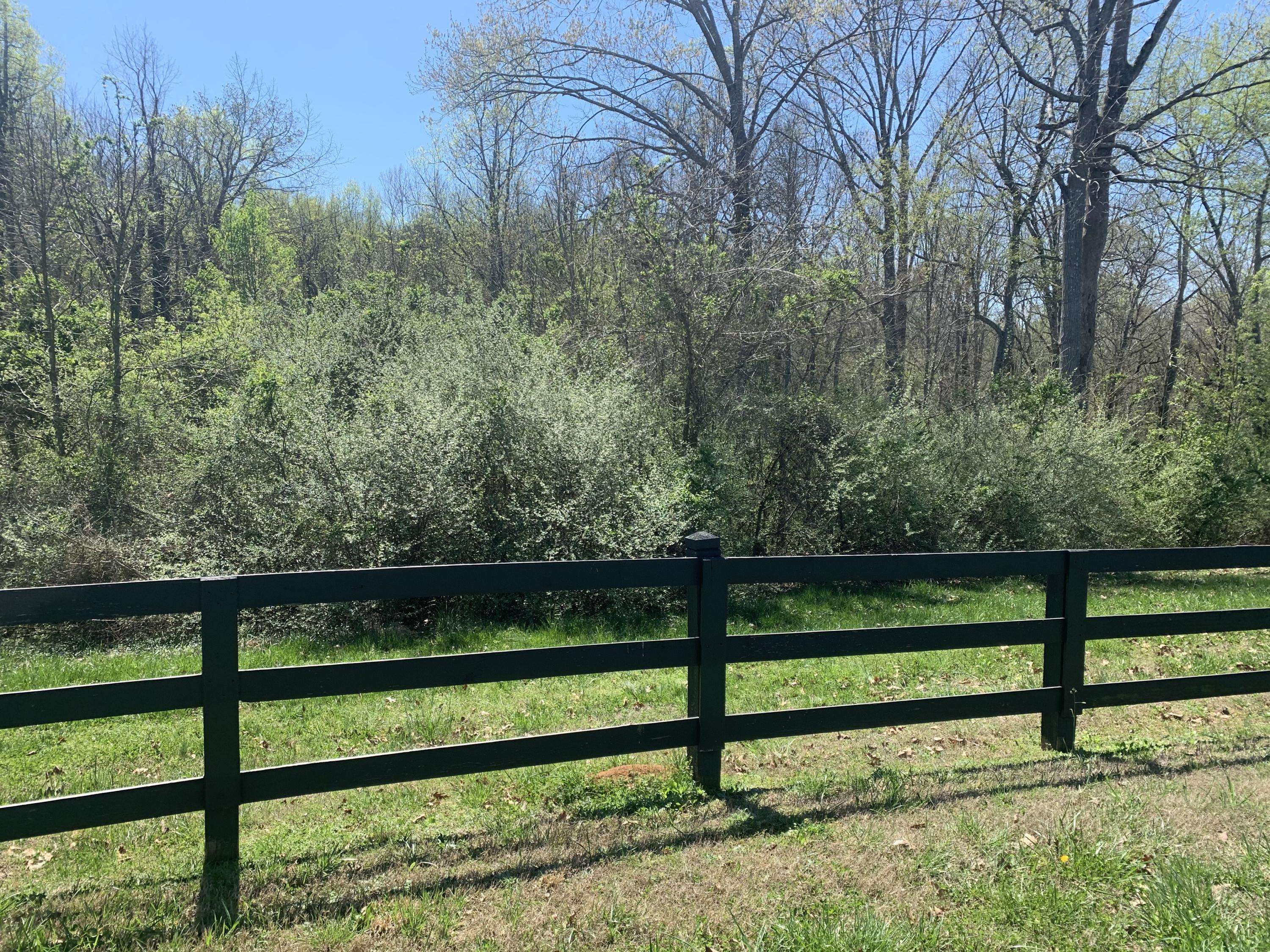 Louisville, TN 37777,Lot 9 Preserve at Lashbrooke