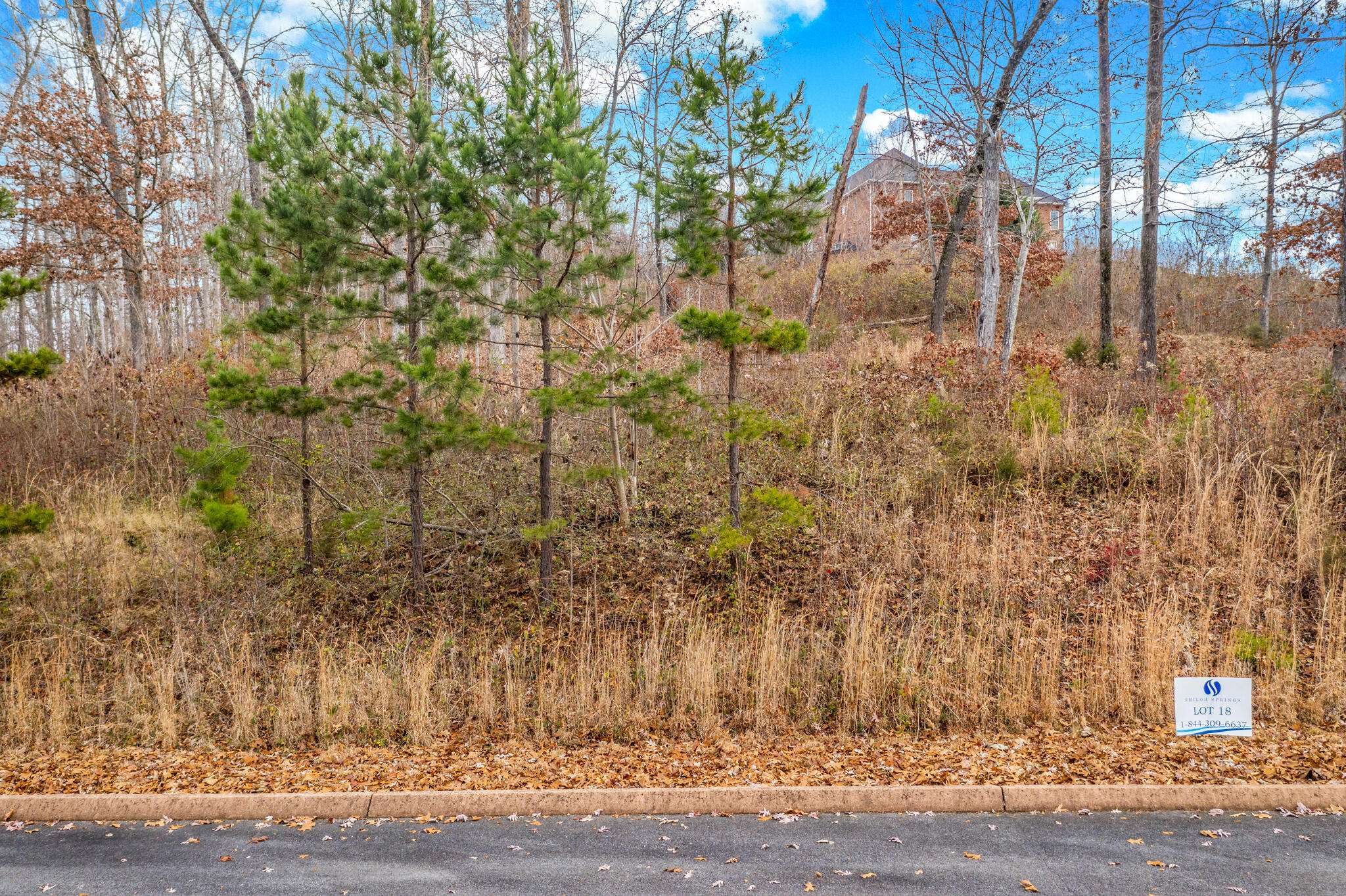 Rutledge, TN 37861,Lot 18 Aidans Tr