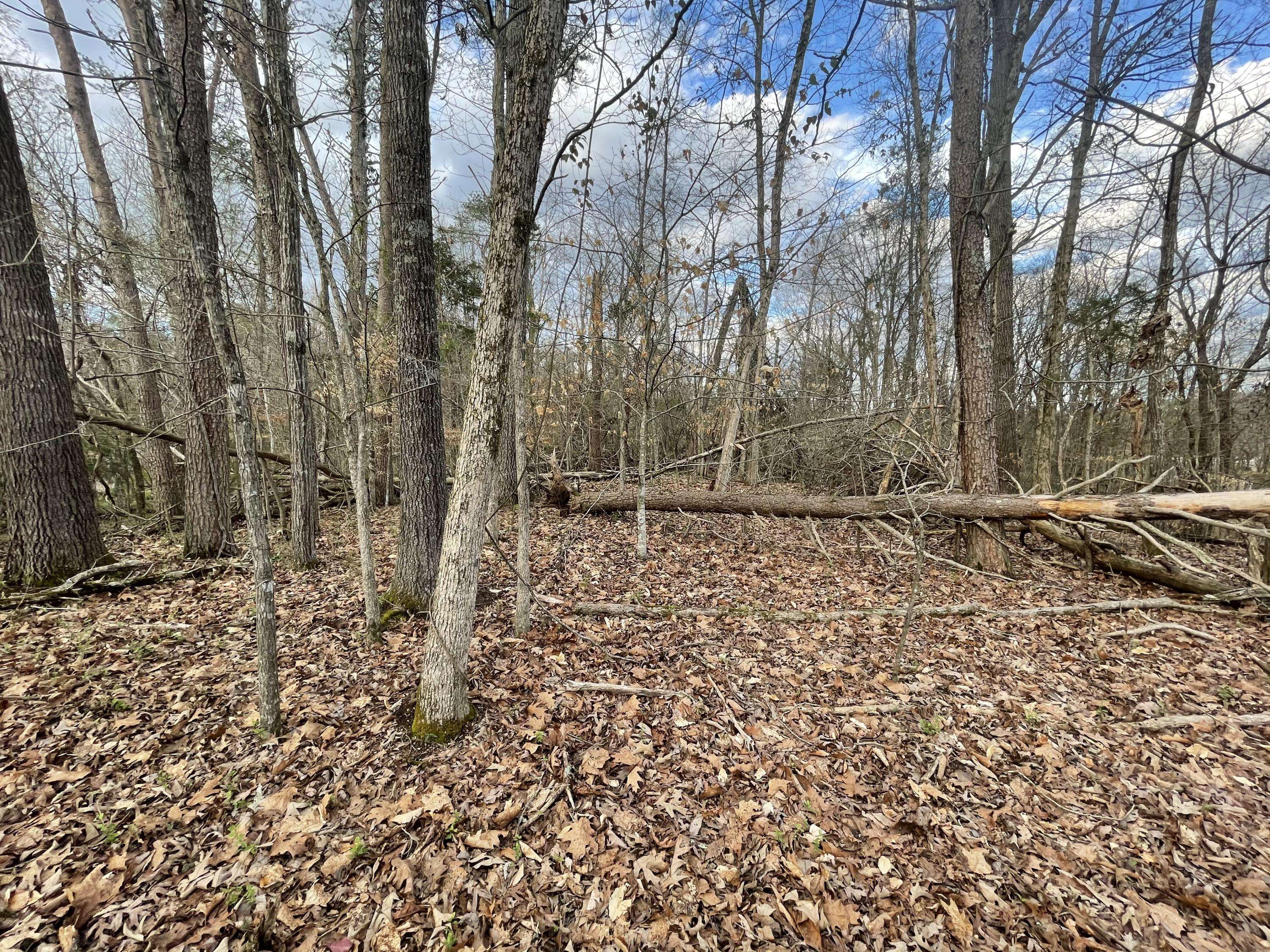 Sevierville, TN 37876,Lot 10 Deep River Drive DR