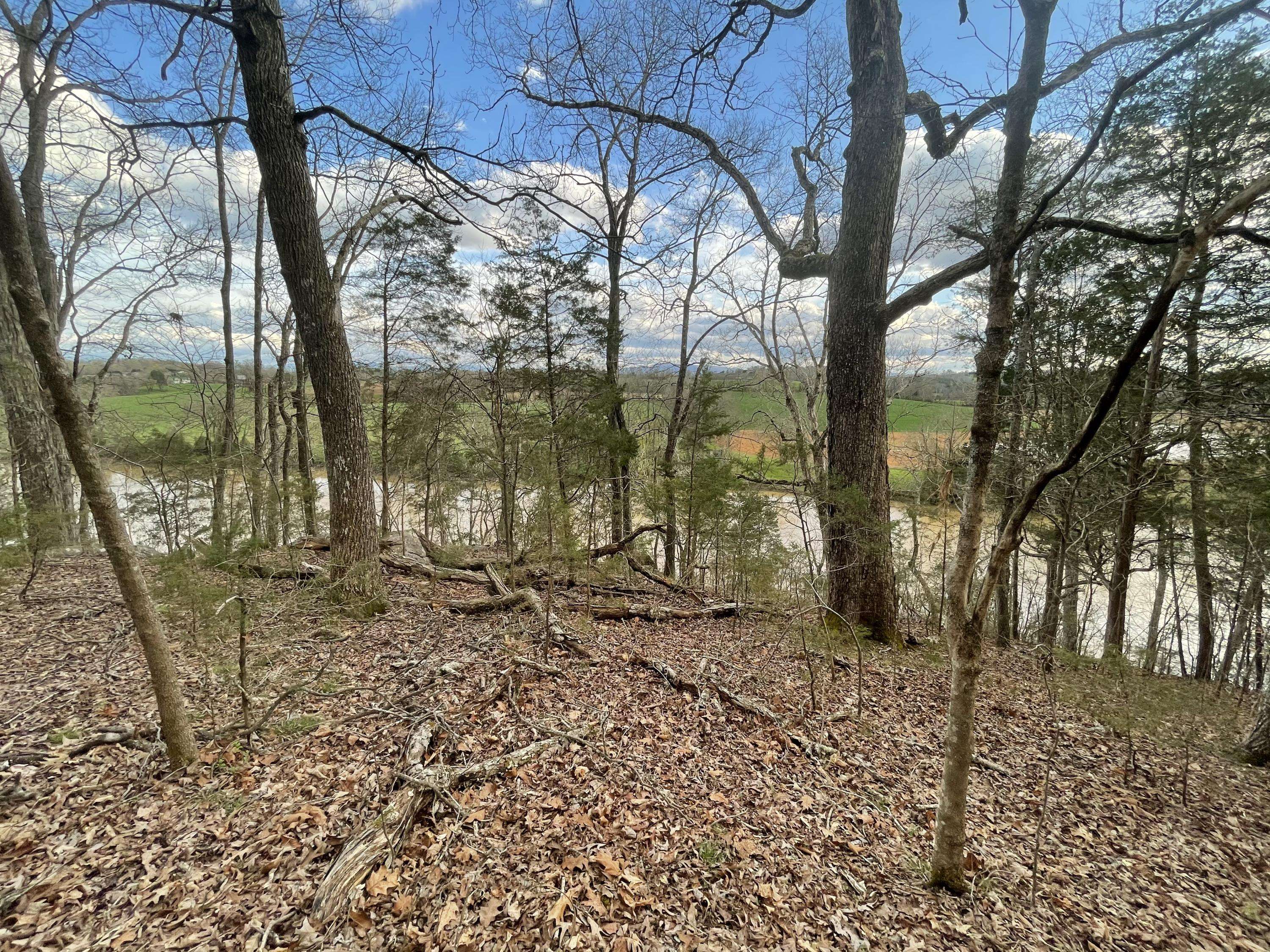 Sevierville, TN 37876,Lot 10 Deep River Drive DR