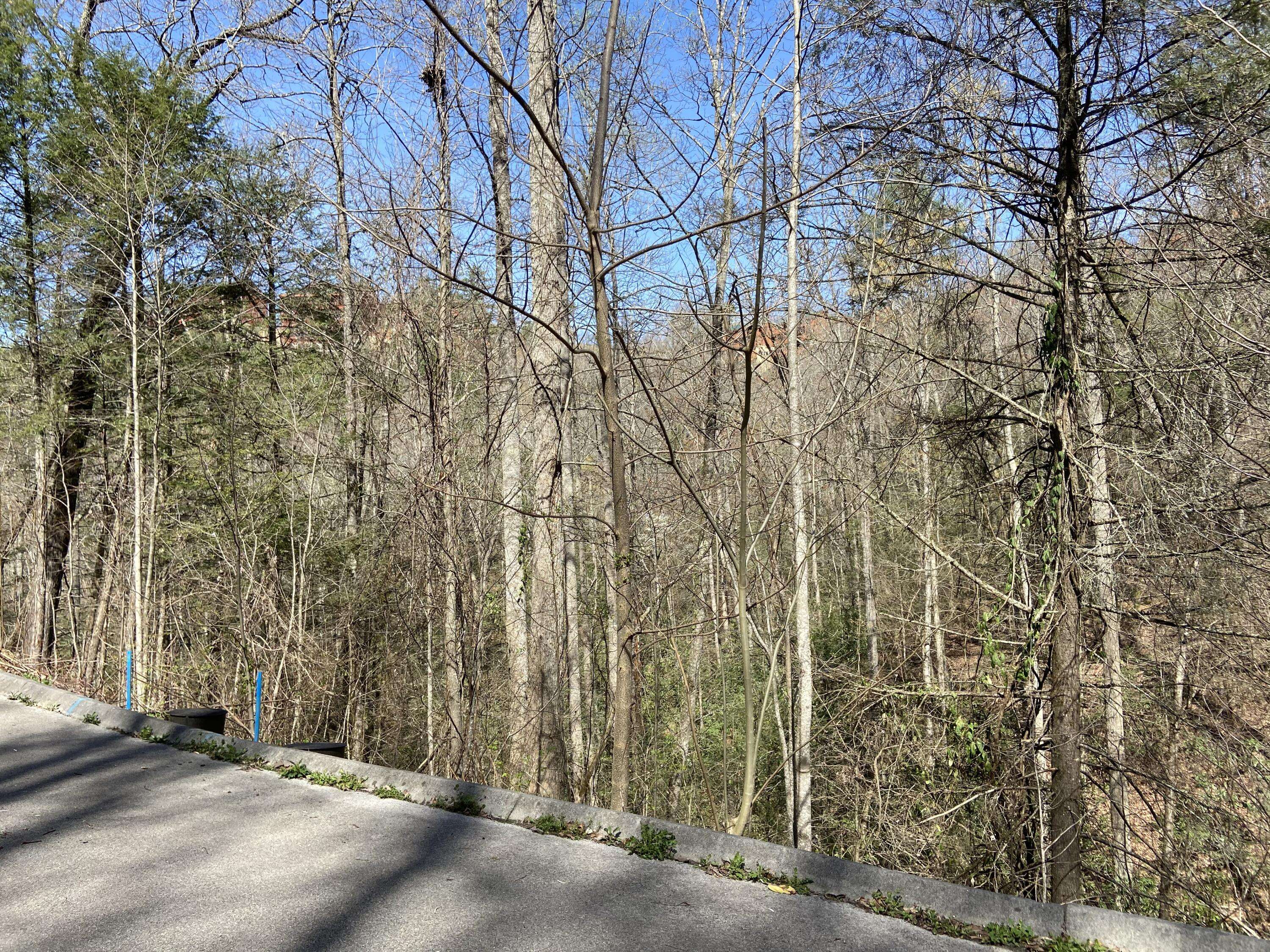 Sevierville, TN 37862,Lot #70 Smoky Ridge Way