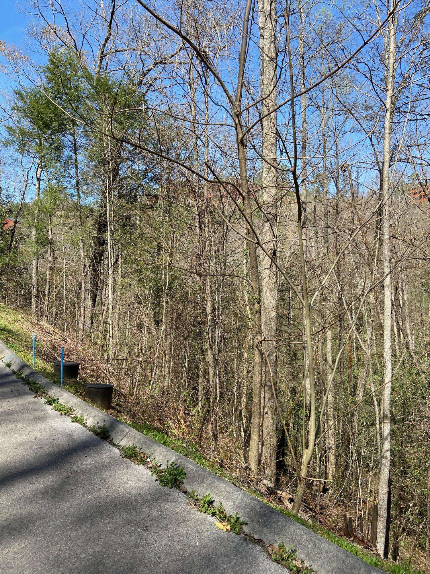 Sevierville, TN 37862,Lot #70 Smoky Ridge Way